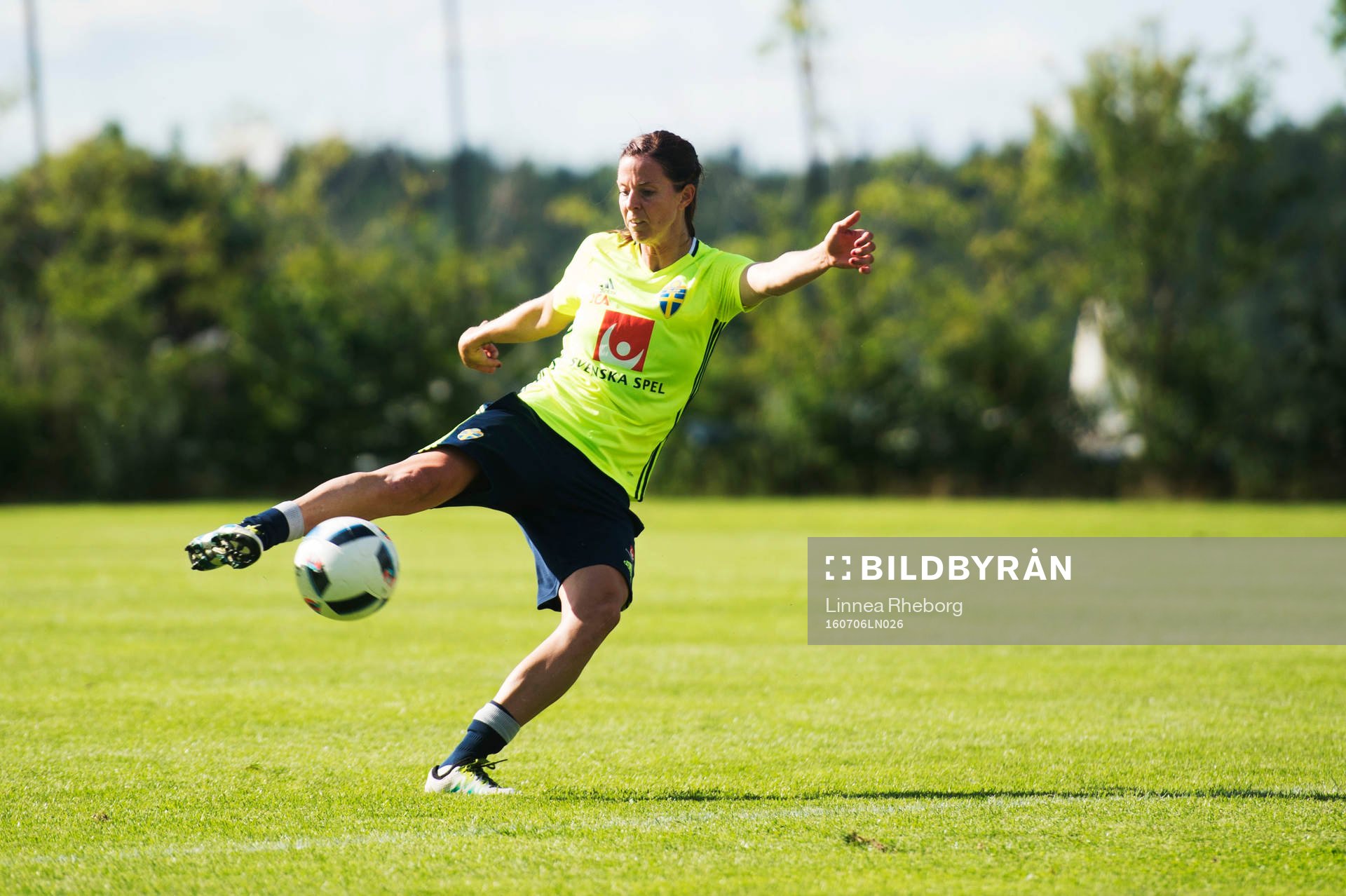 Lotta Schelin
