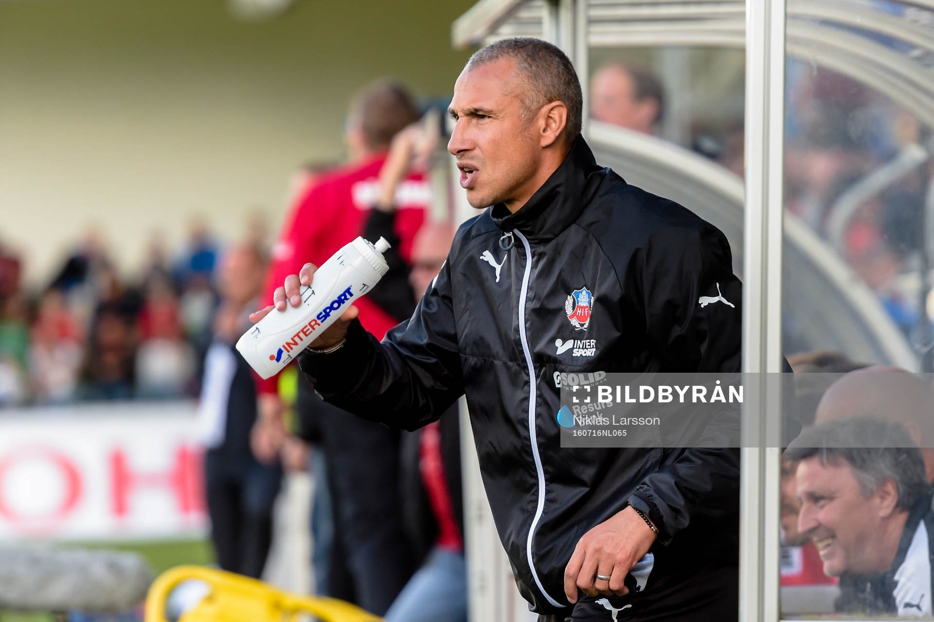 Helsingborgs manager Henrik Larsson jublar