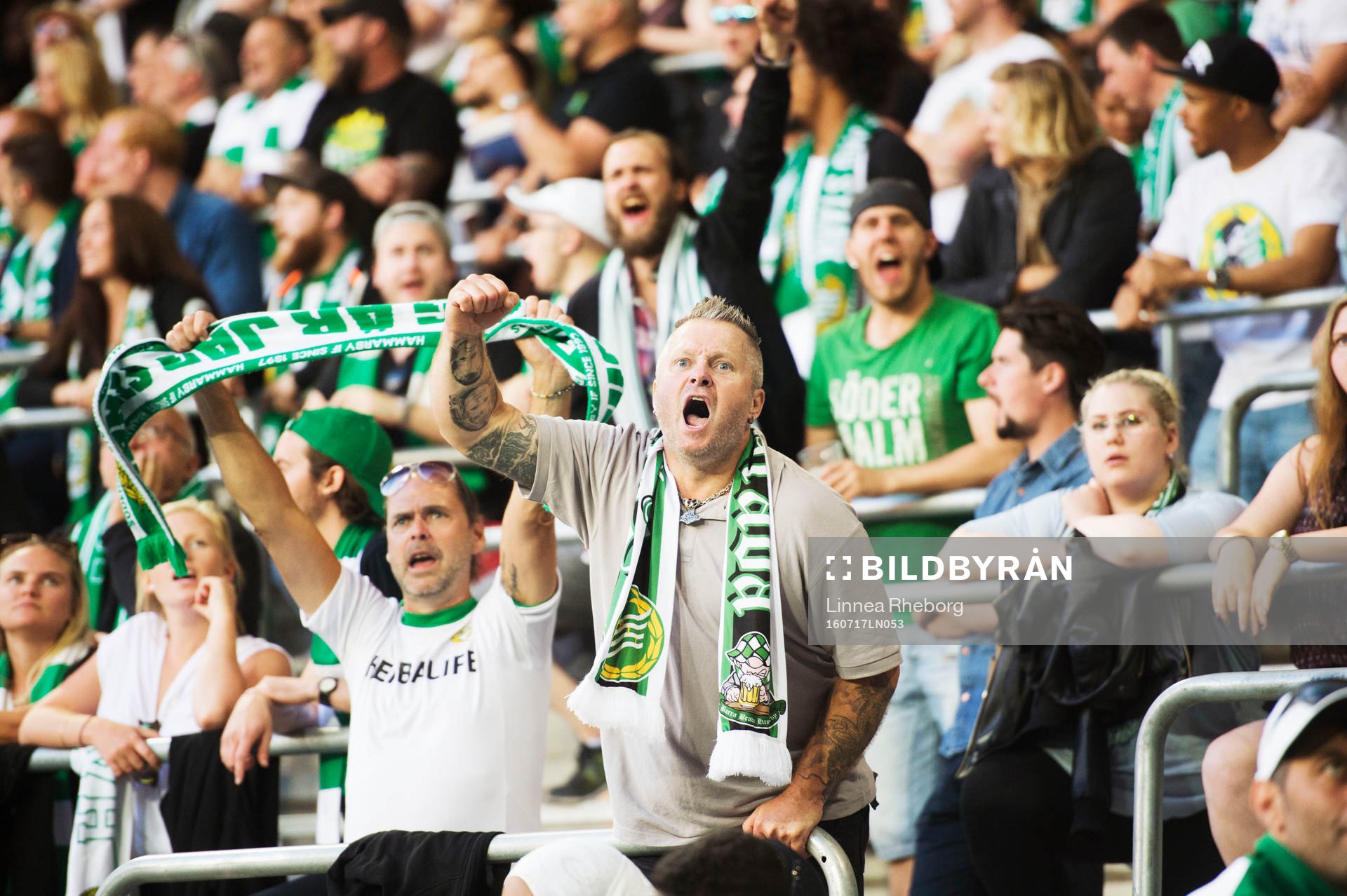 Hammarbys supportrar sjunger