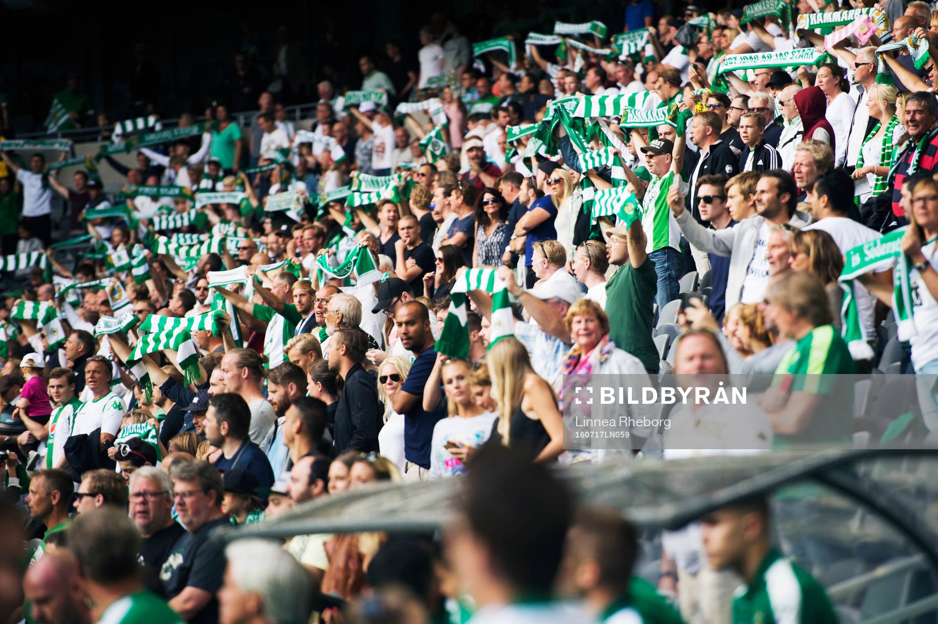 Hammarbys fans