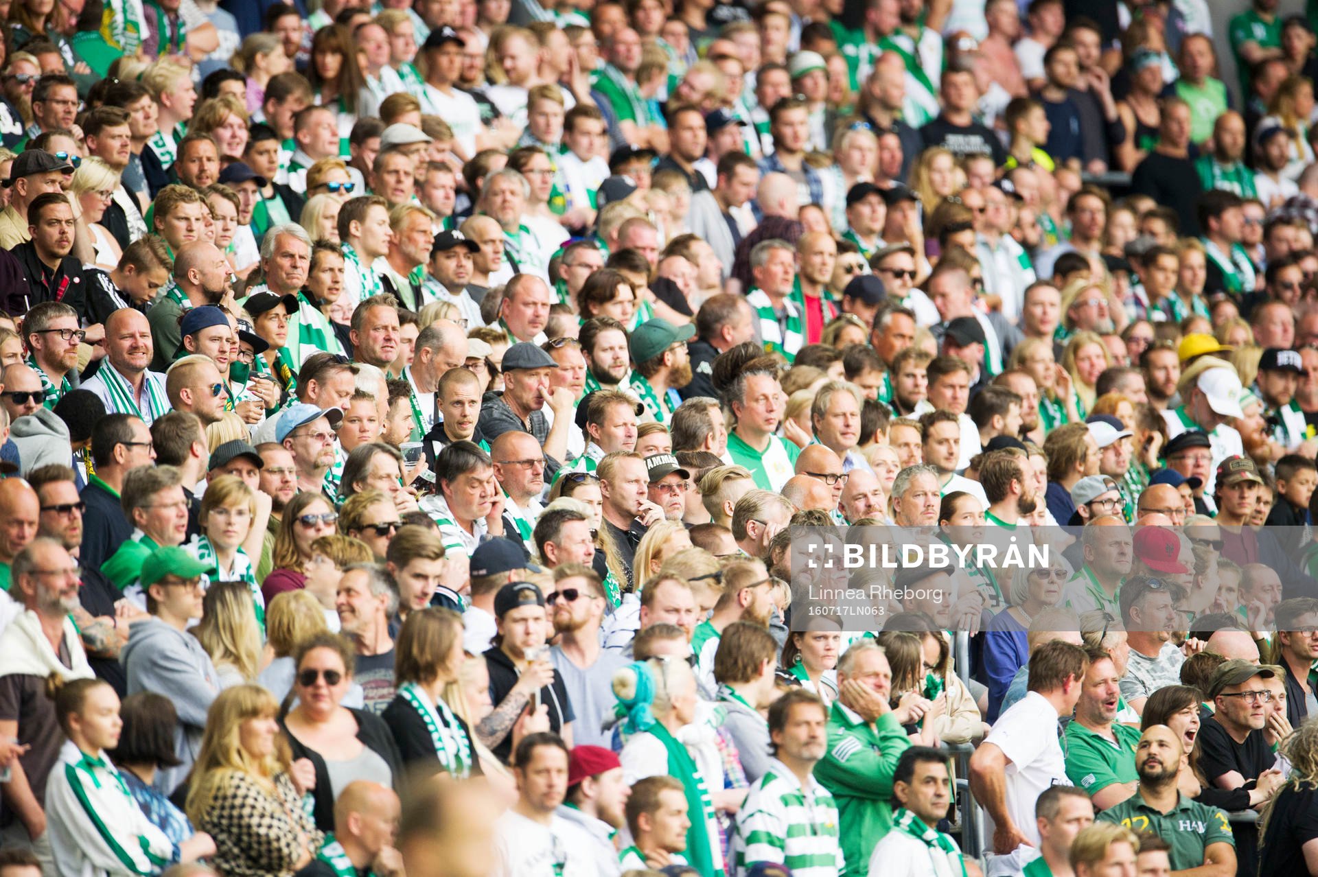 Hammarbys fans