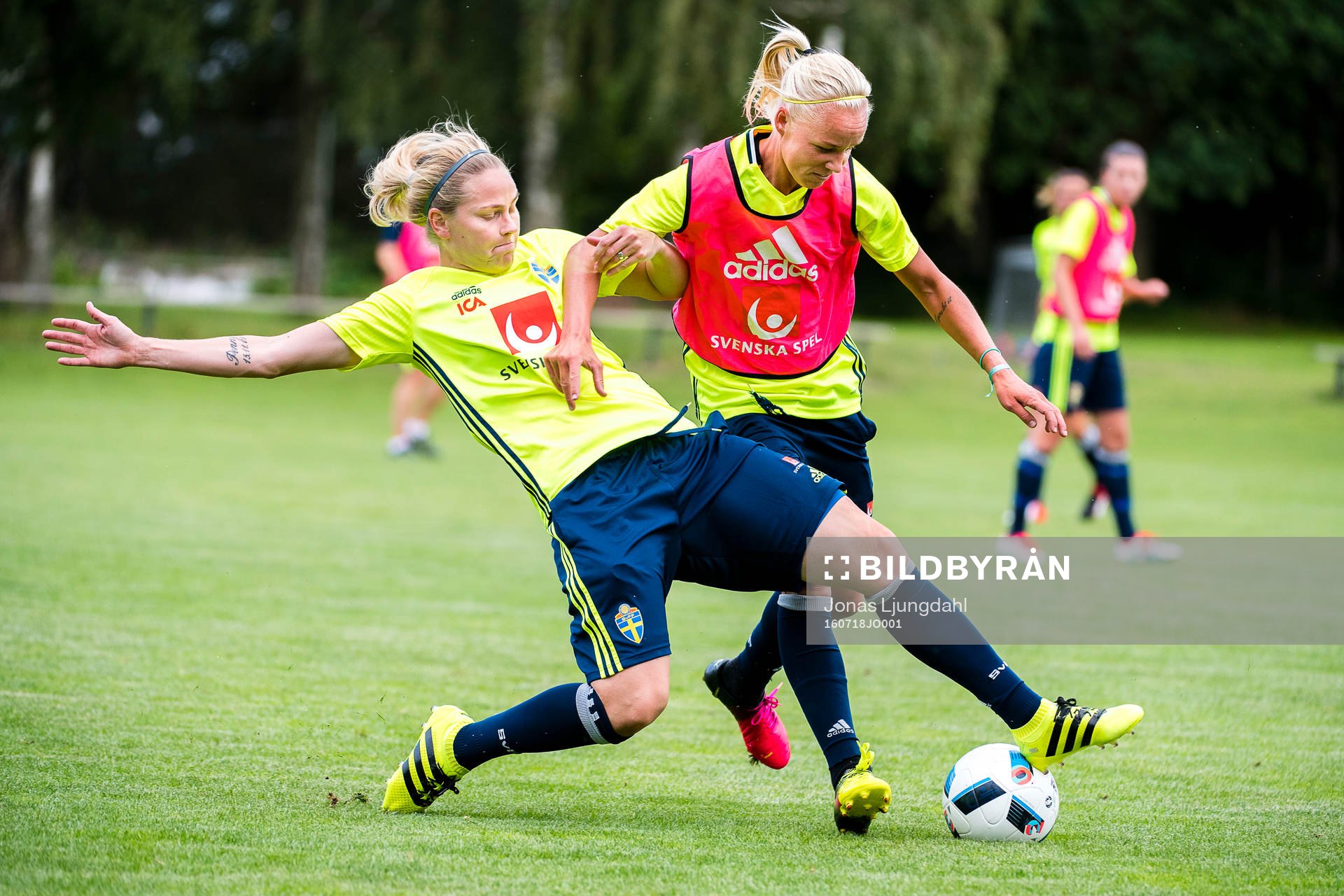 Lisa Dahlkvist