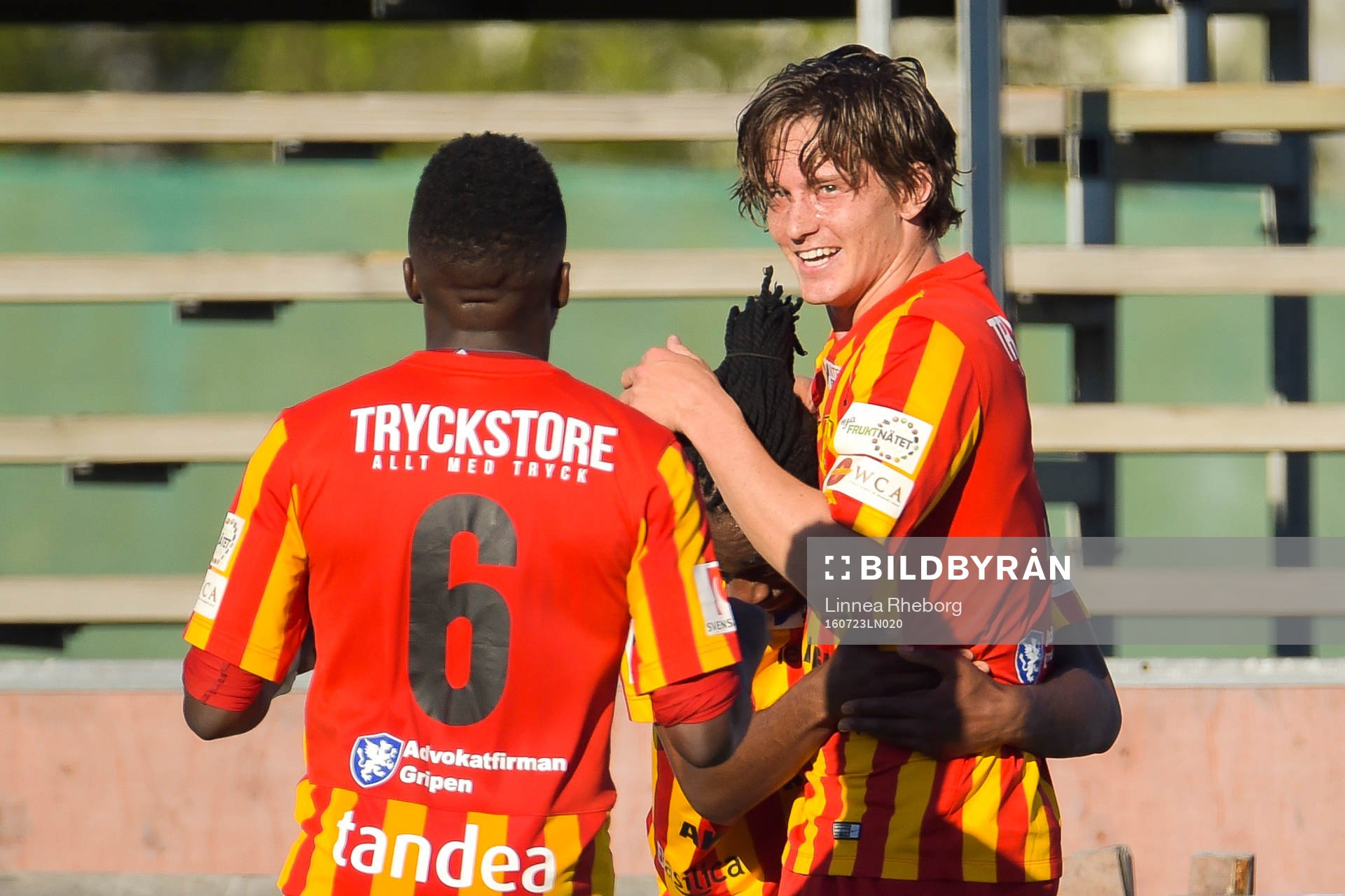 Syrianskas Robin Book jublar
