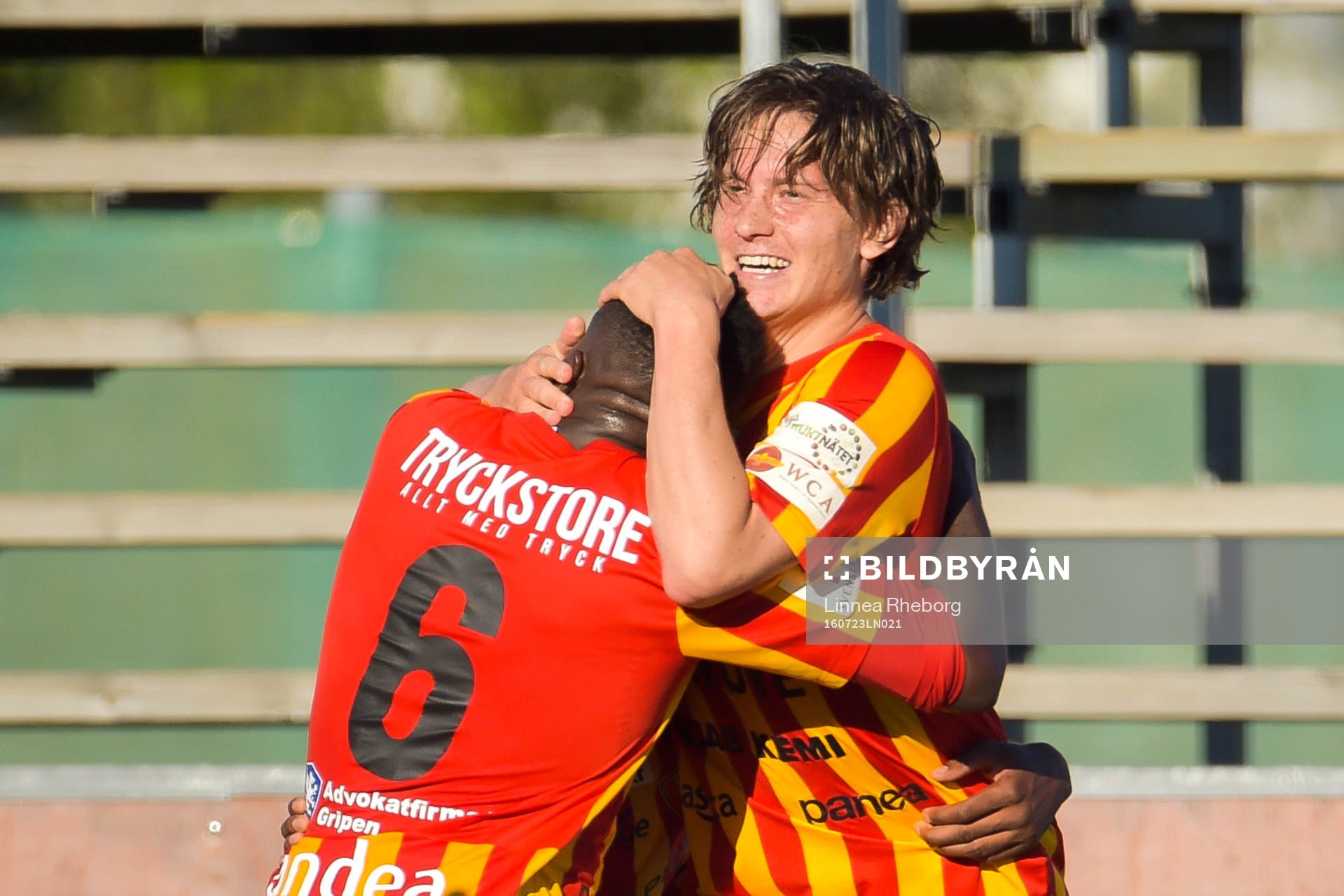 Syrianskas Robin Book jublar