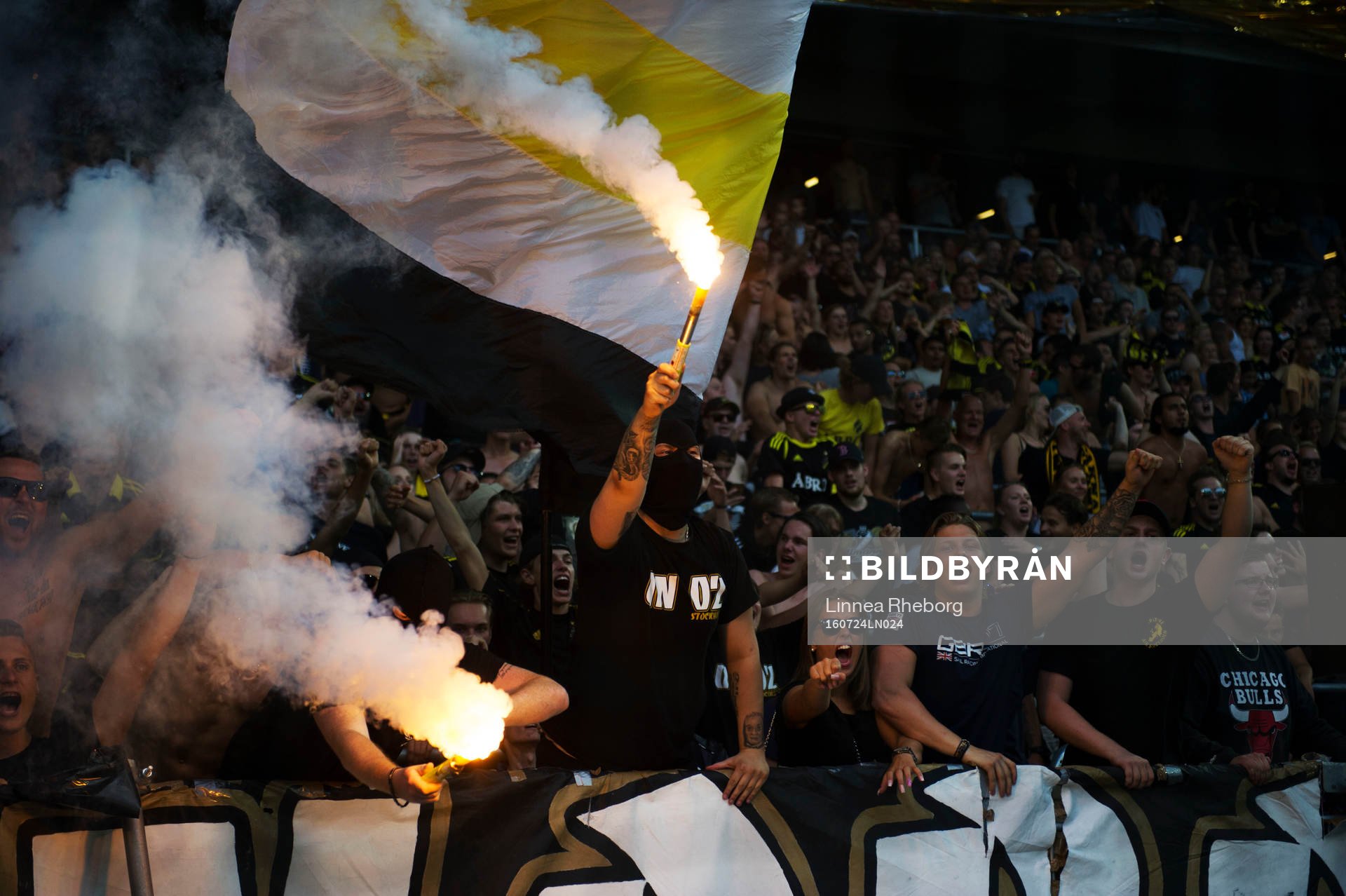 s fans tänder bengaler