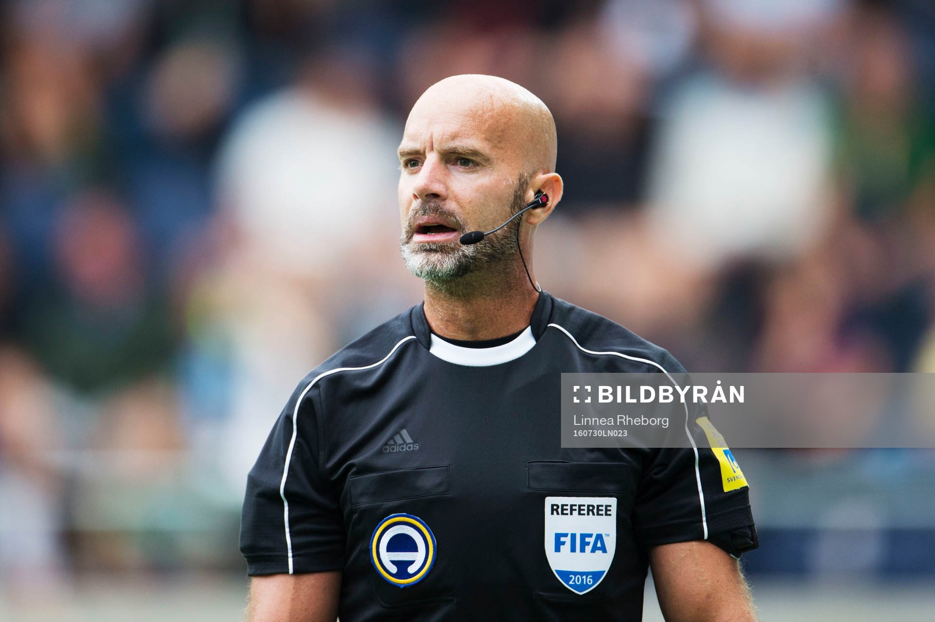Domare Stefan Johannesson
