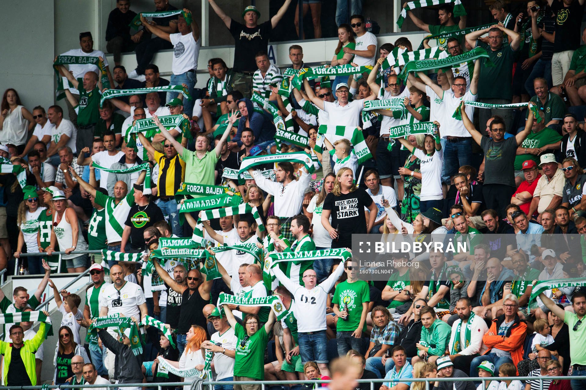 Hammarbys fans