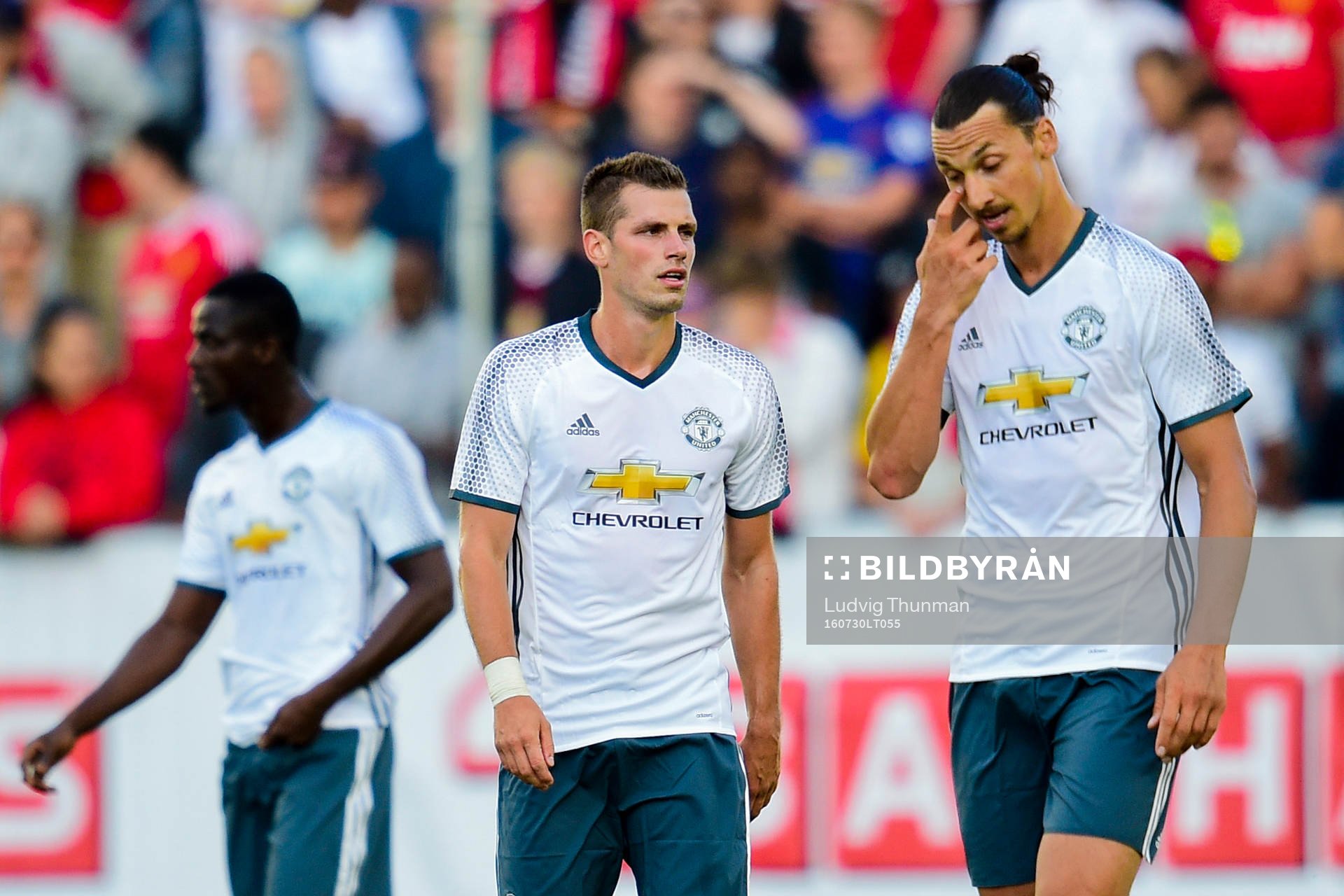 Manchester Uniteds Morgan Schneiderlin och Zlatan