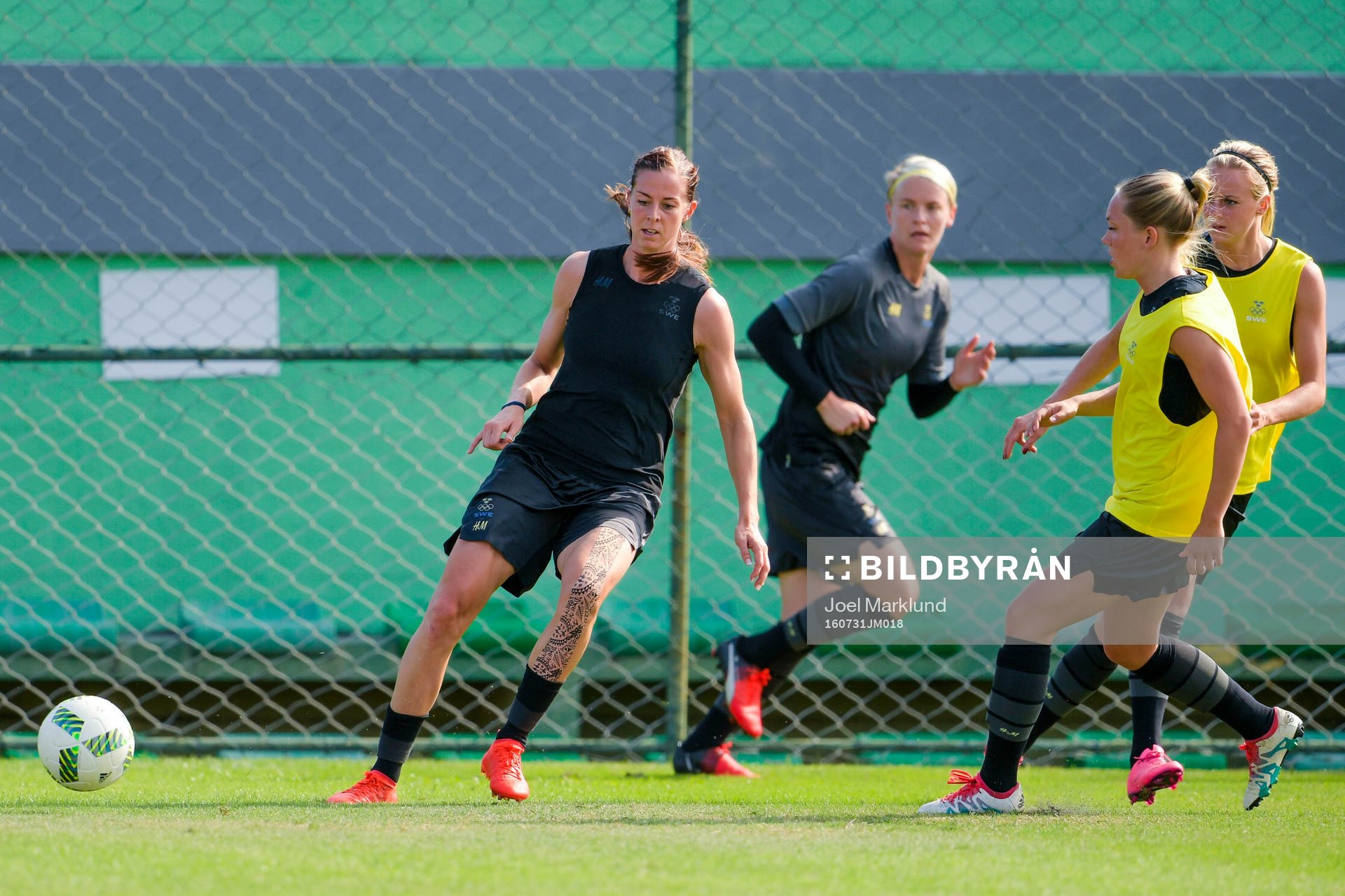 Lotta Schelin
