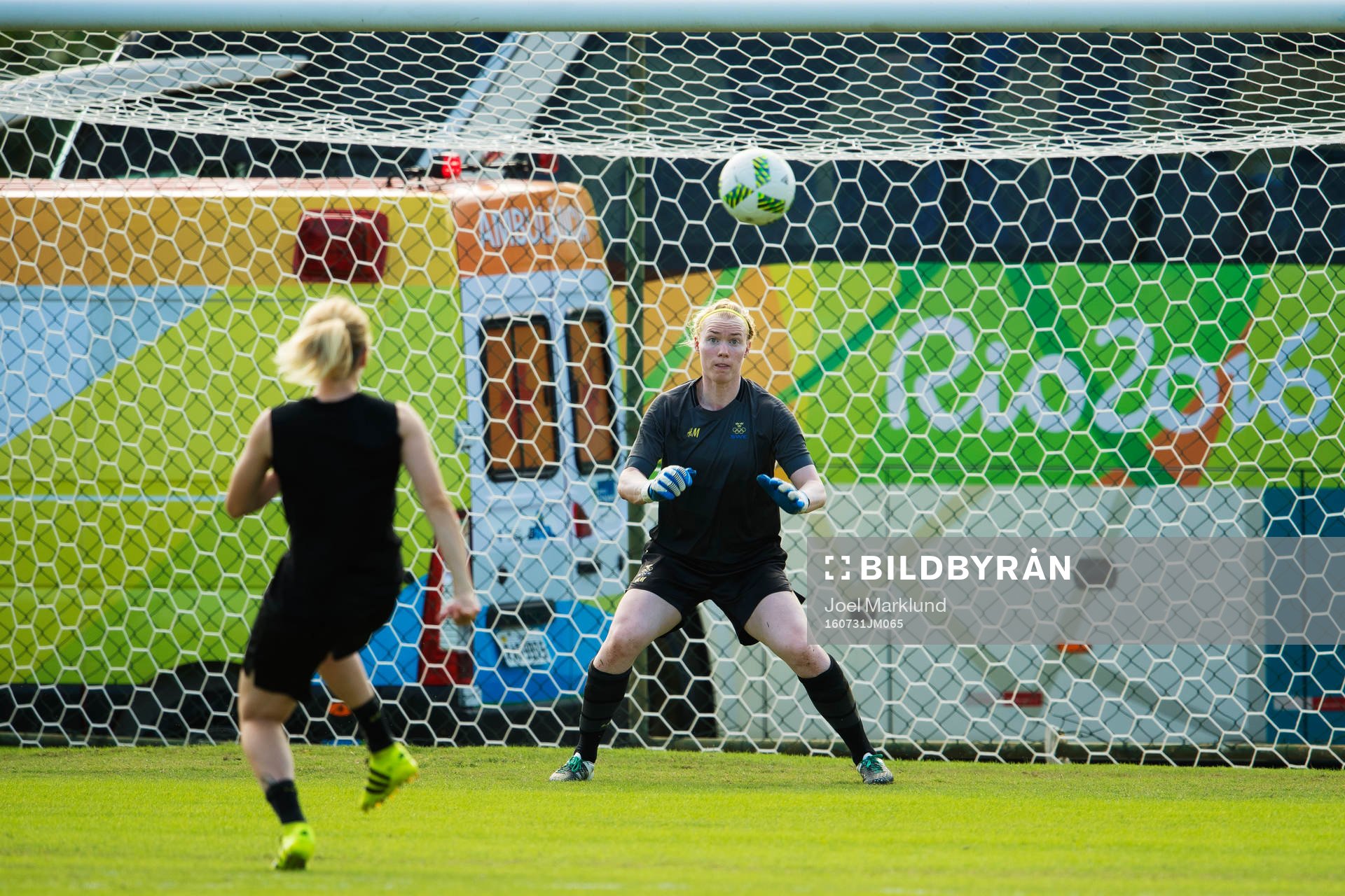 Hedvig Lindahl