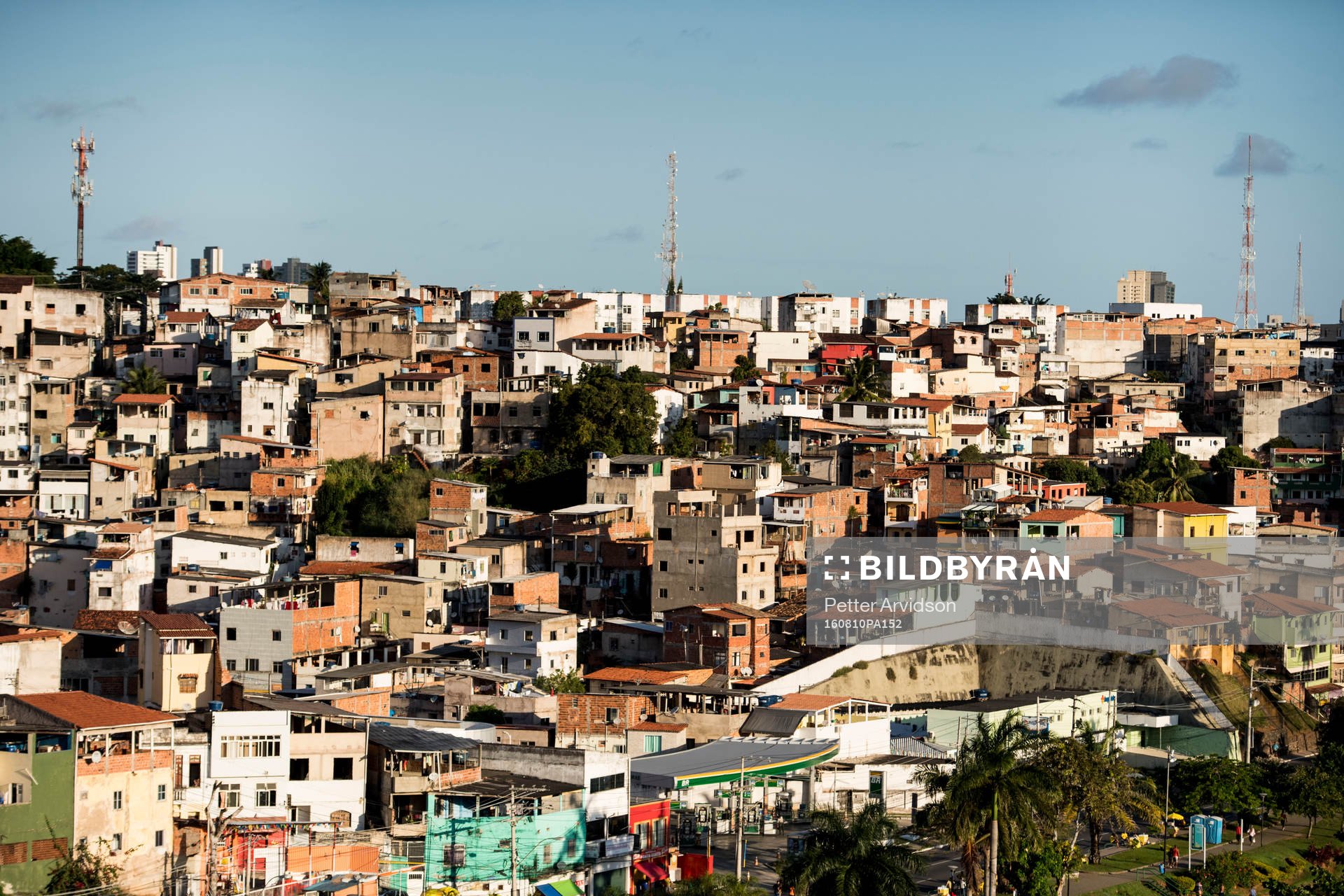 Favela