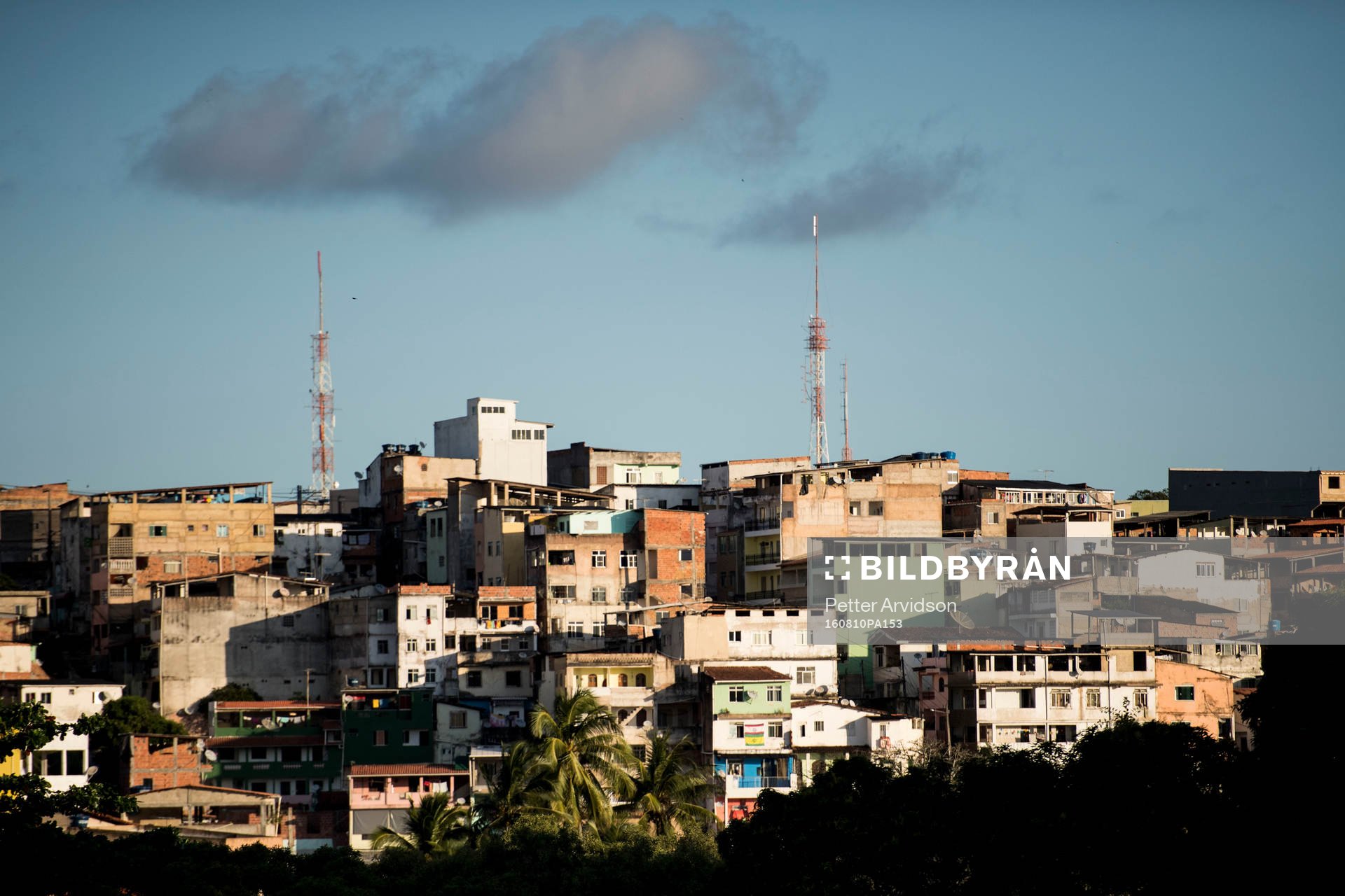 Favela