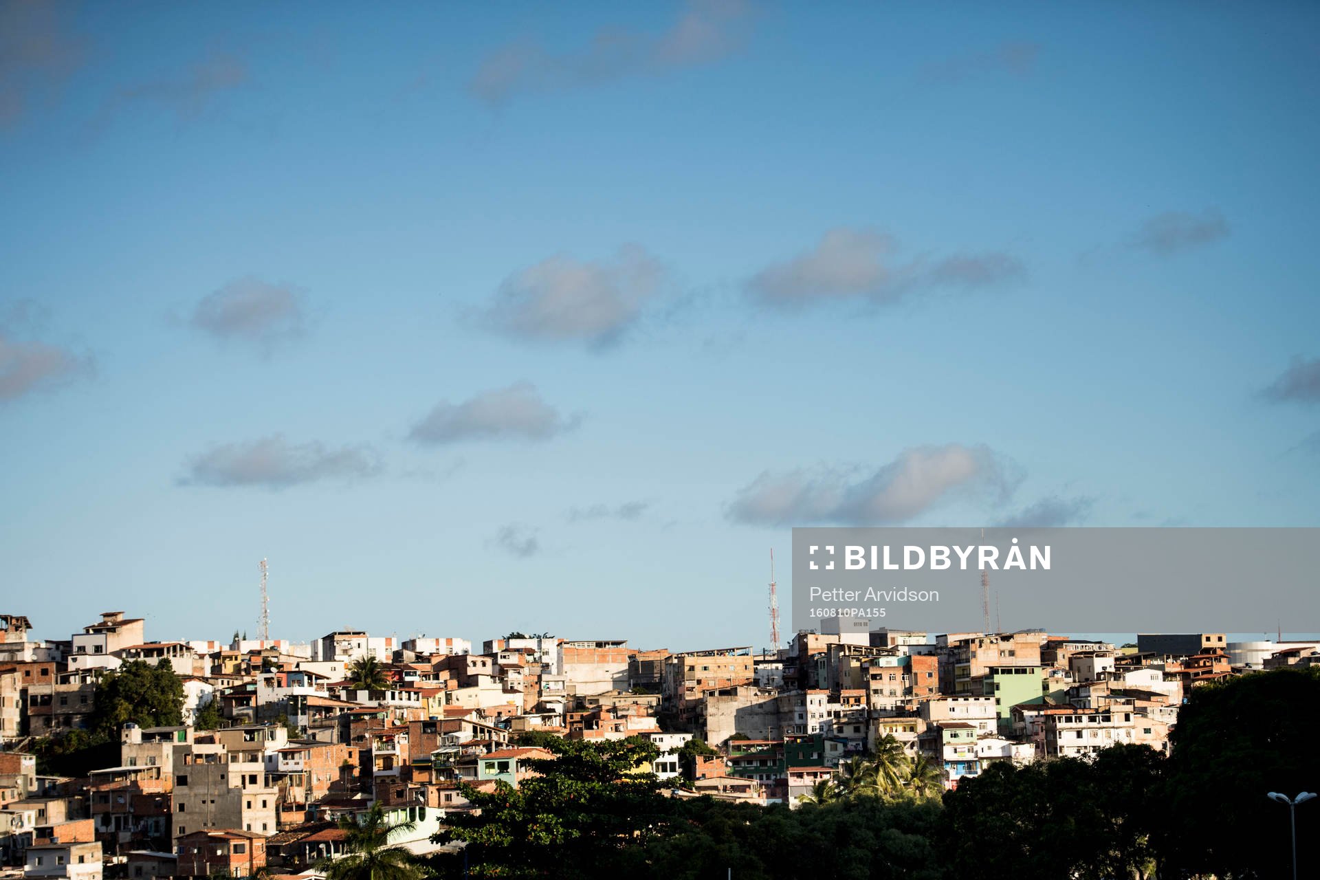 Favela
