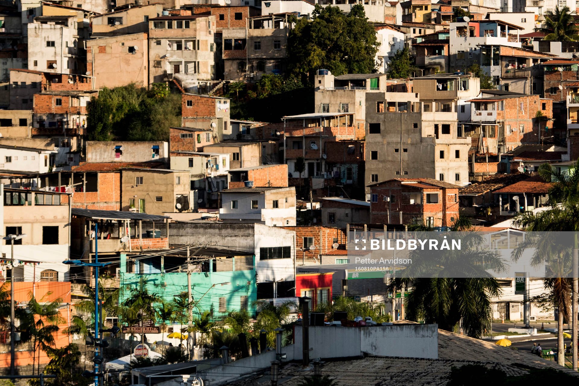 Favela