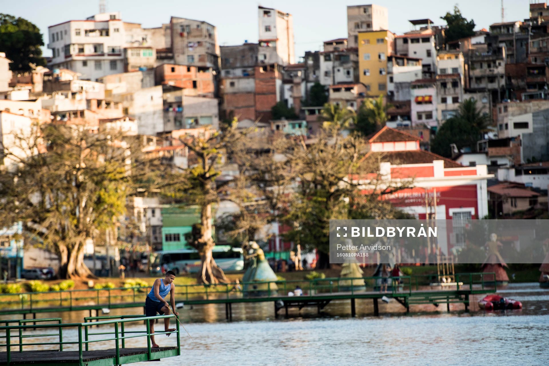 Favela