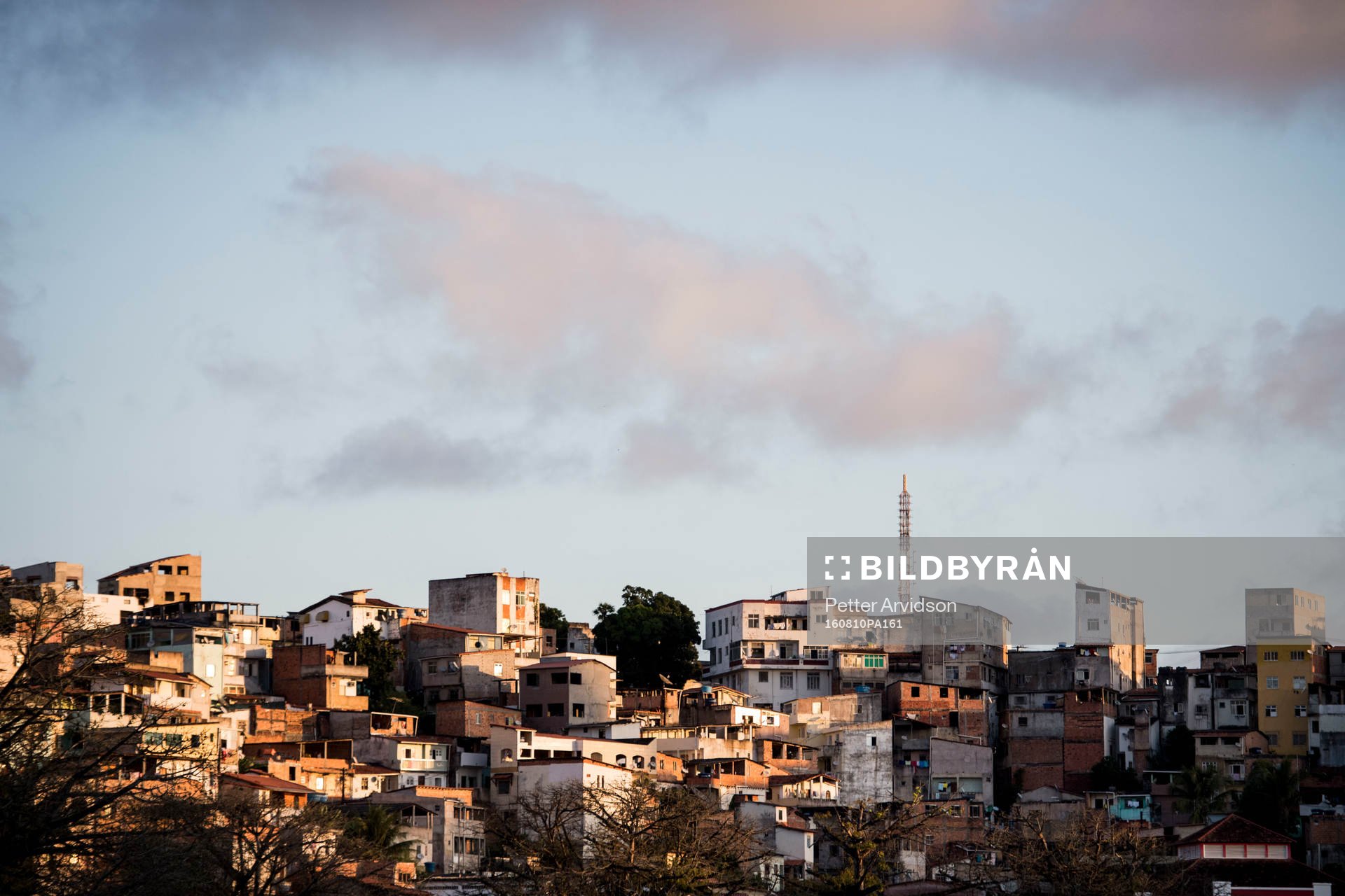 Favela