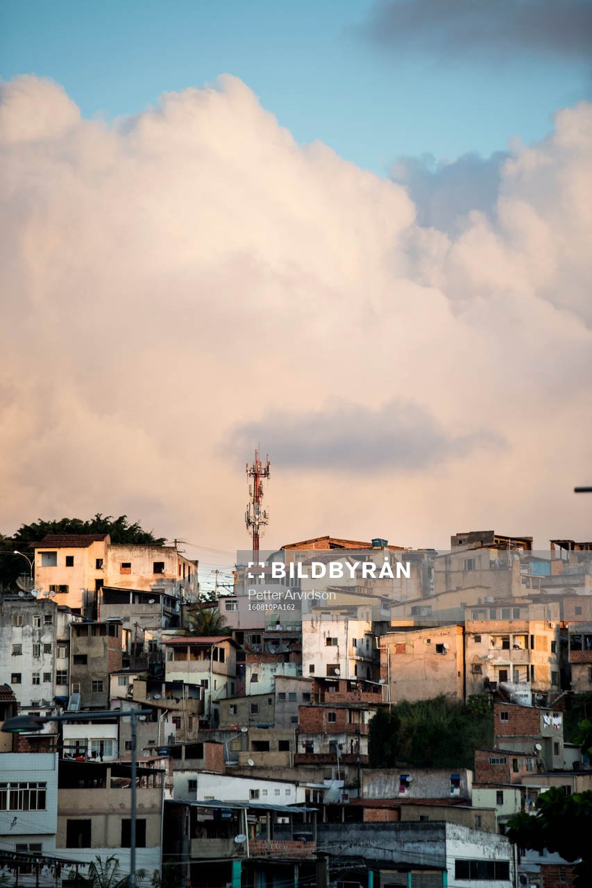 Favela