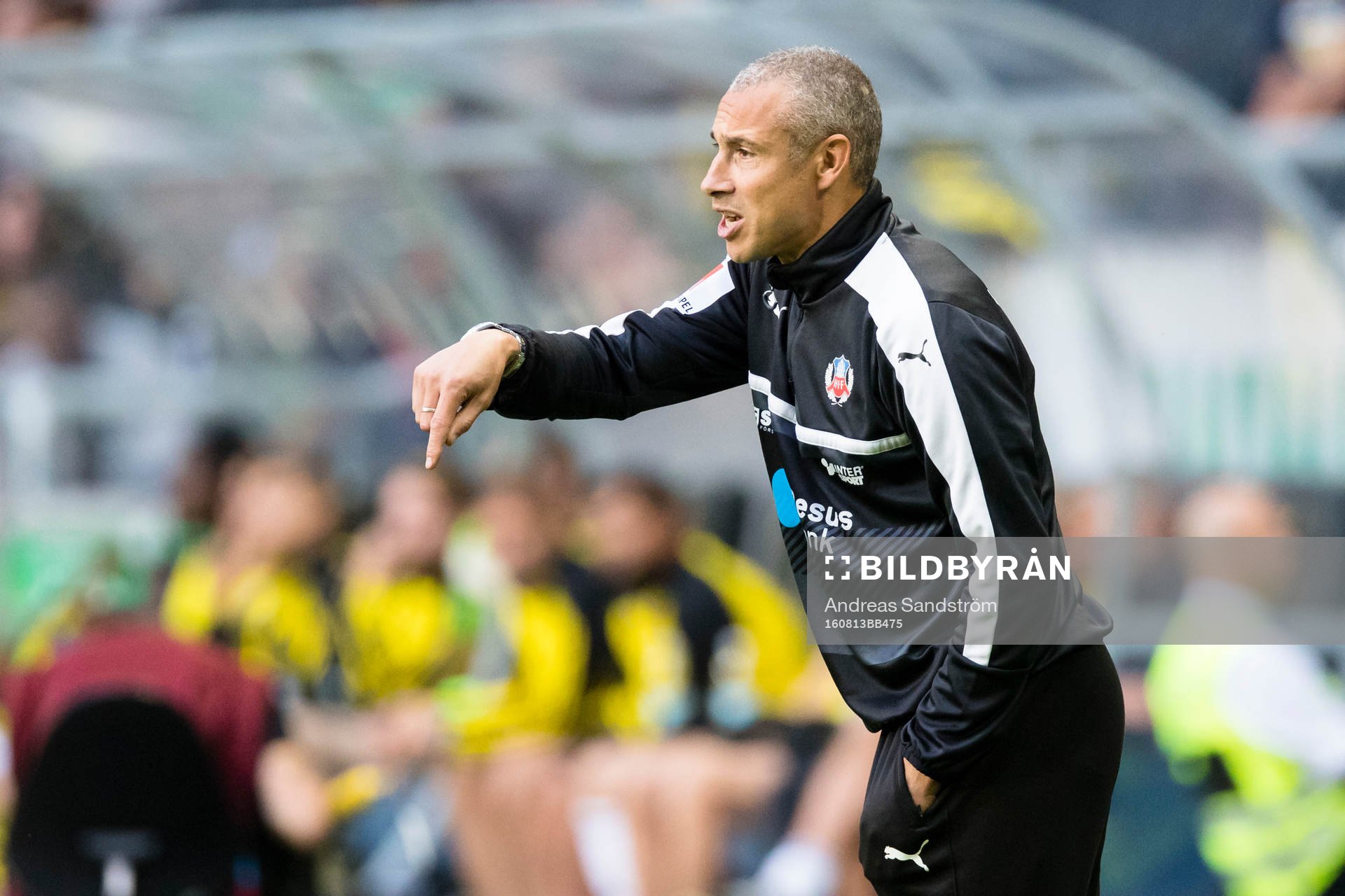 Helsingborgs manager Henrik Larsson