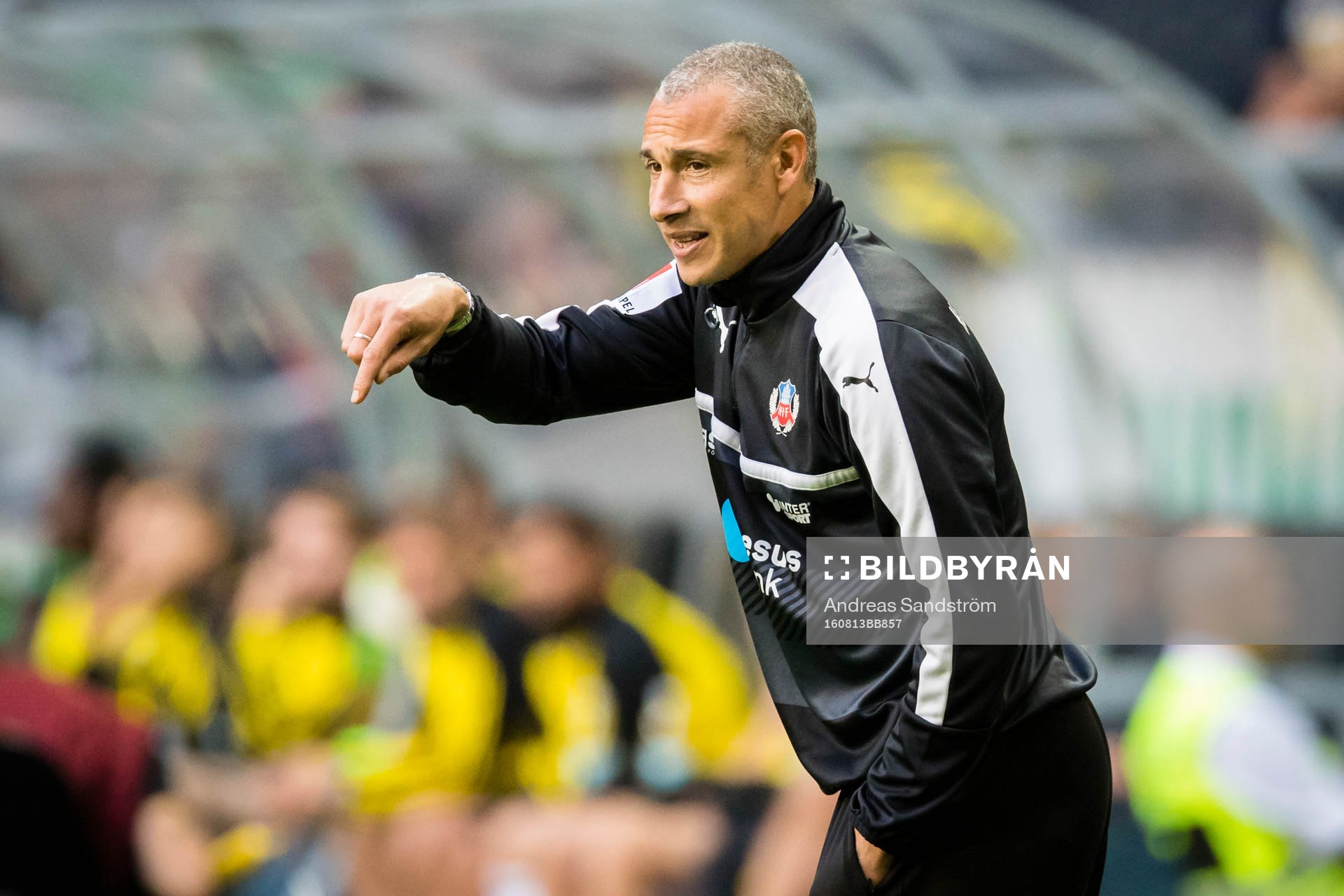 Helsingborgs manager Henrik Larsson