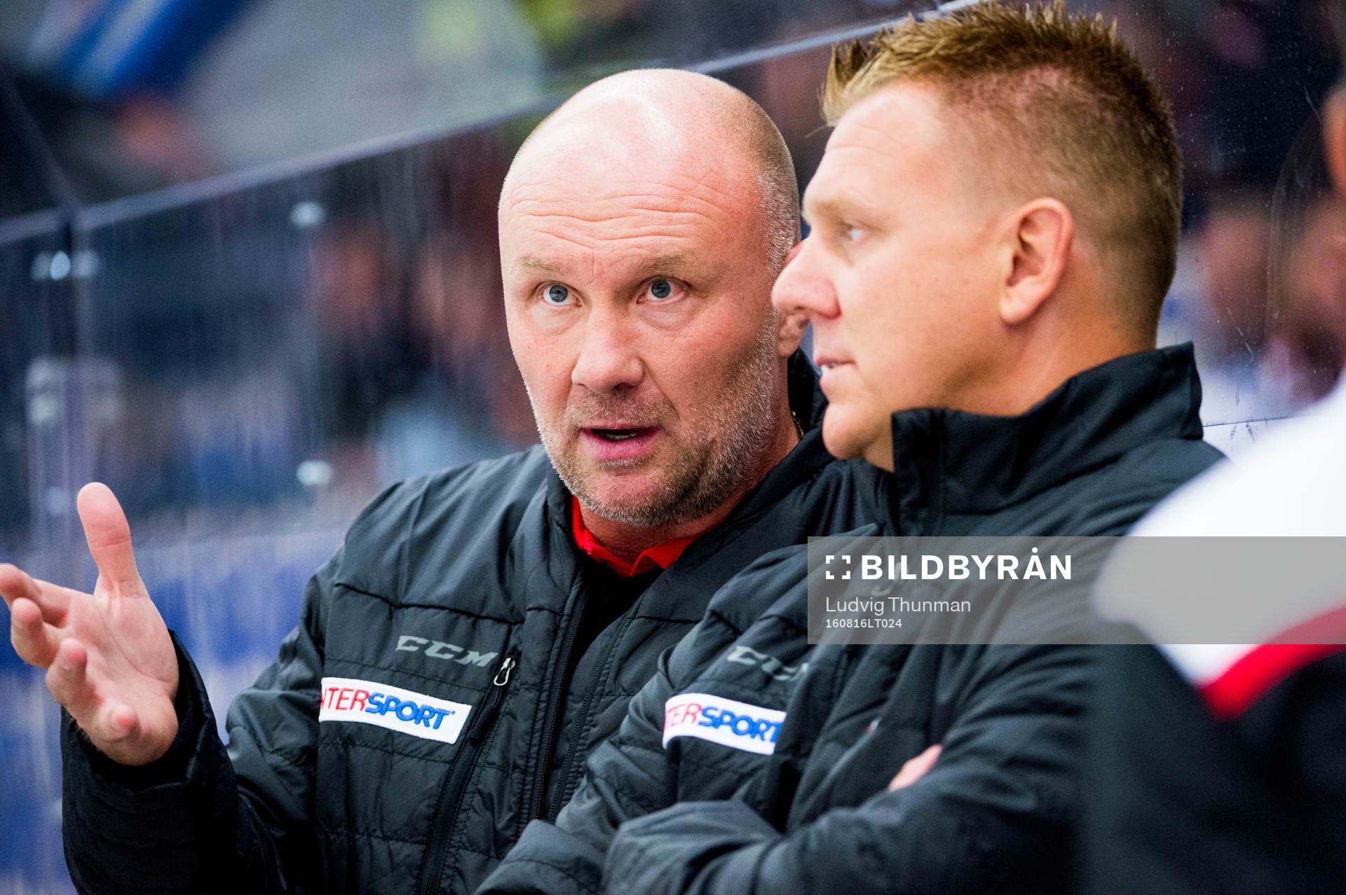 Malmö Redhawks tränare Peter Andersson och assisterande