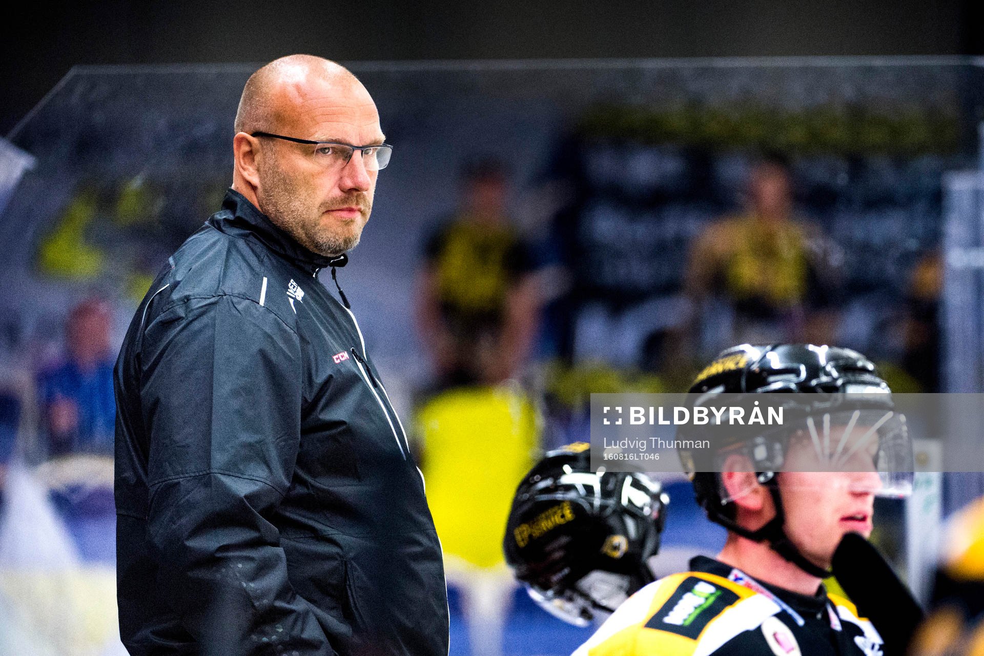Panterns assisterande tränare Fredrik Hallberg