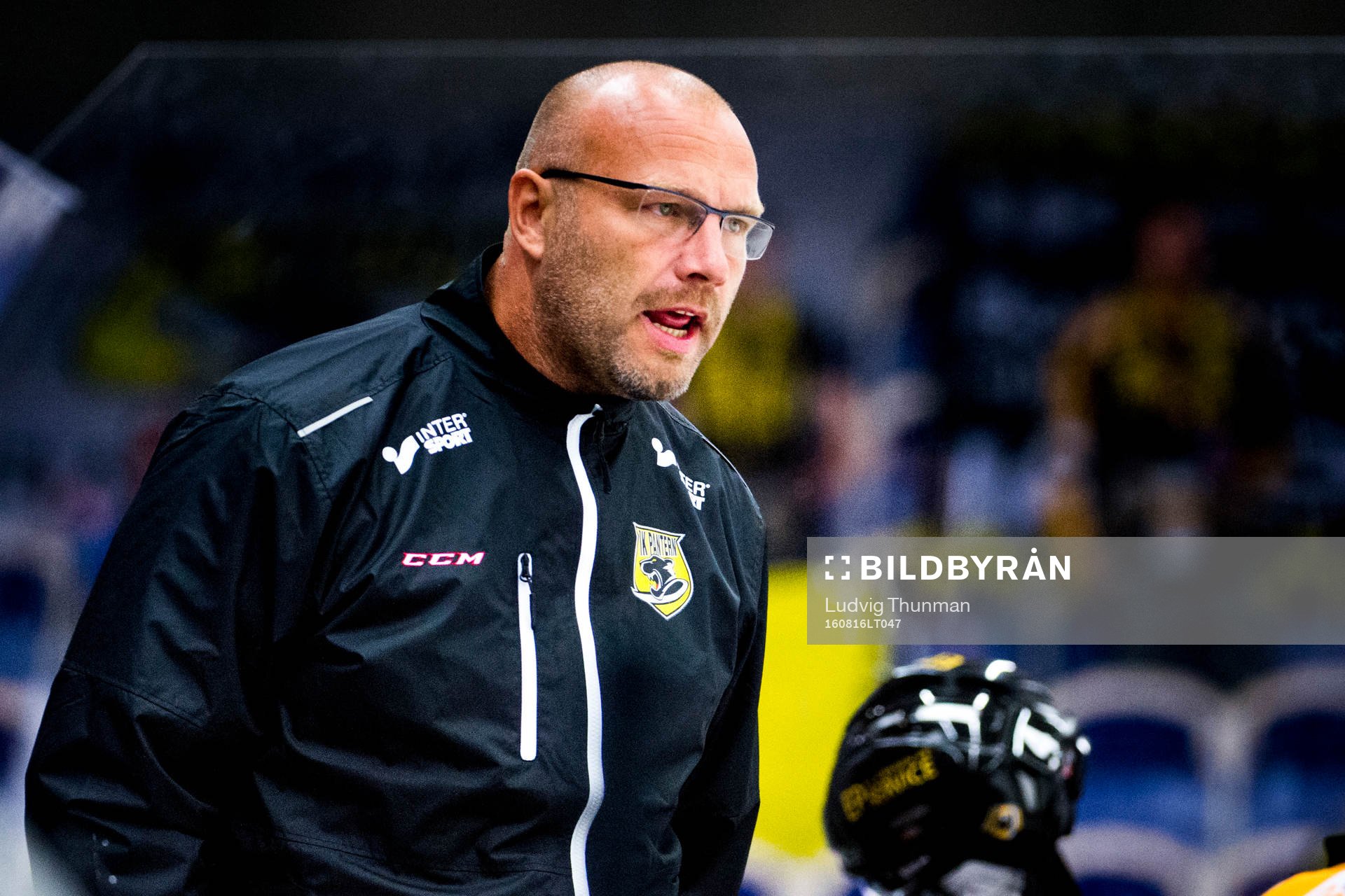 Panterns assisterande tränare Fredrik Hallberg