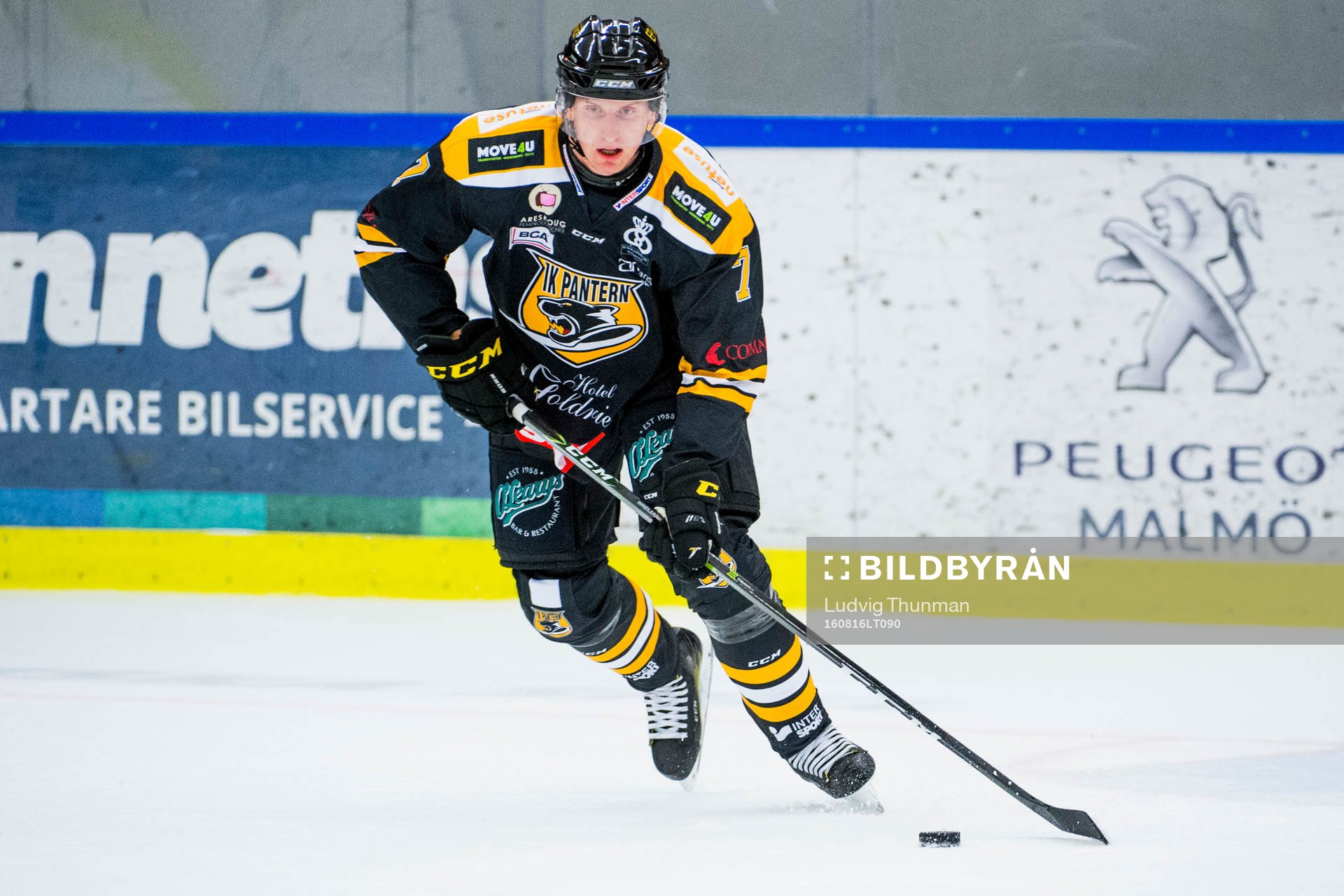 Panterns Filip Windlert