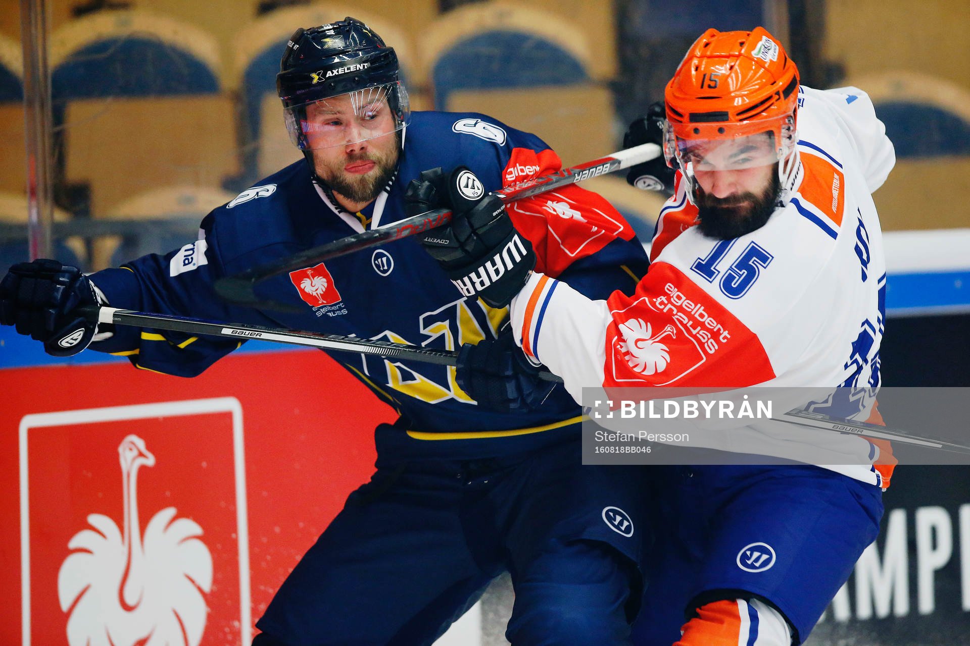 s Christoffer Persson Sheffield Steelers Mathieu Roy