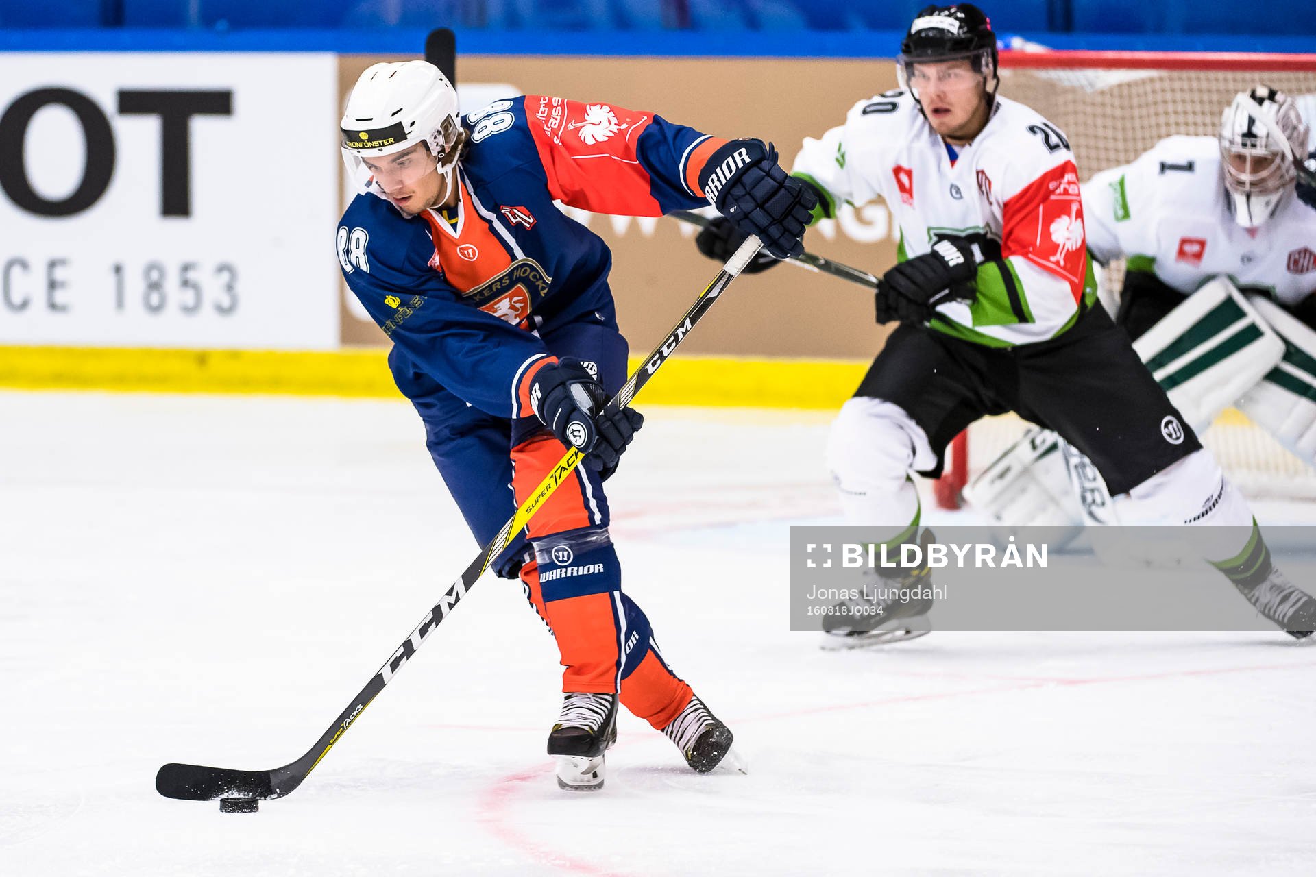 Växjös Adam Brodecki