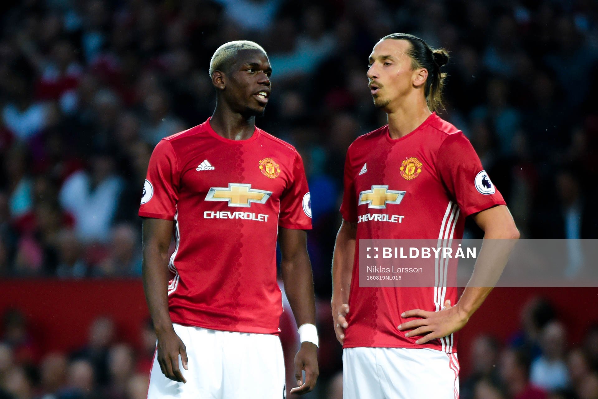 Manchester Uniteds Paul Pogba och Manchester Uniteds Zlatan