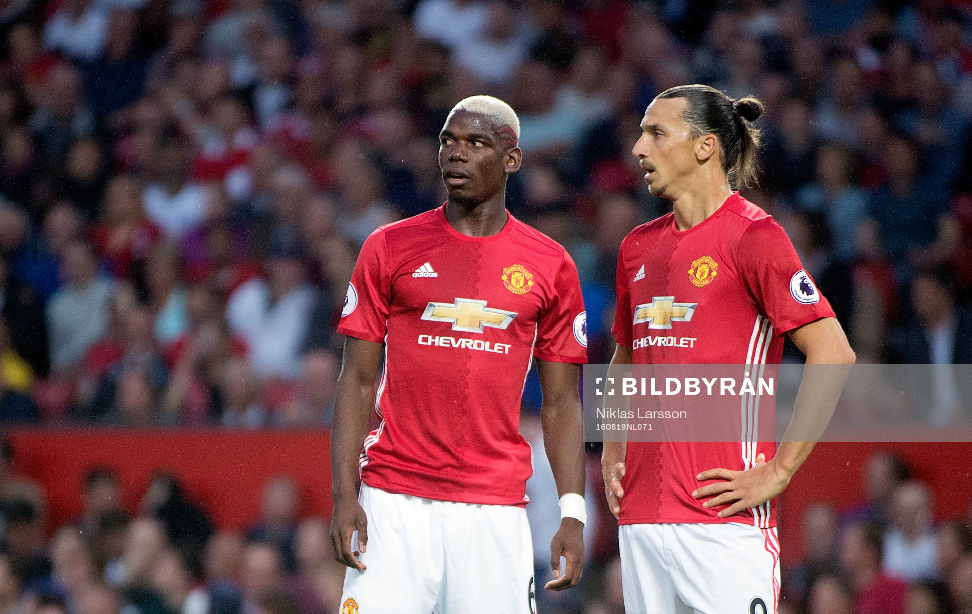 Manchester Uniteds Paul Pogba och Zlatan Ibrahimovic