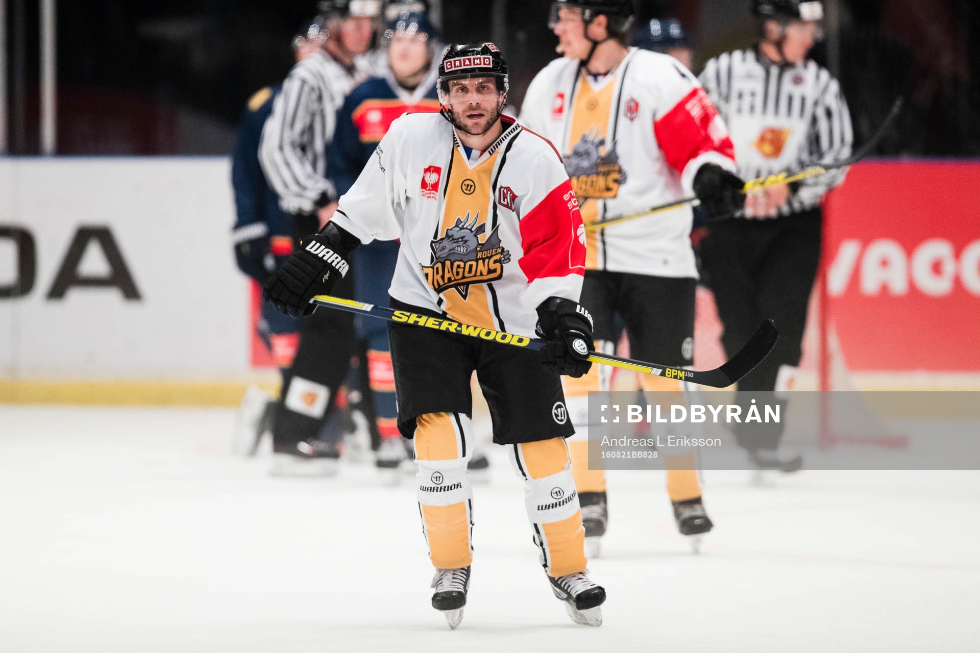 Rouen Dragons Patrick Coulombe