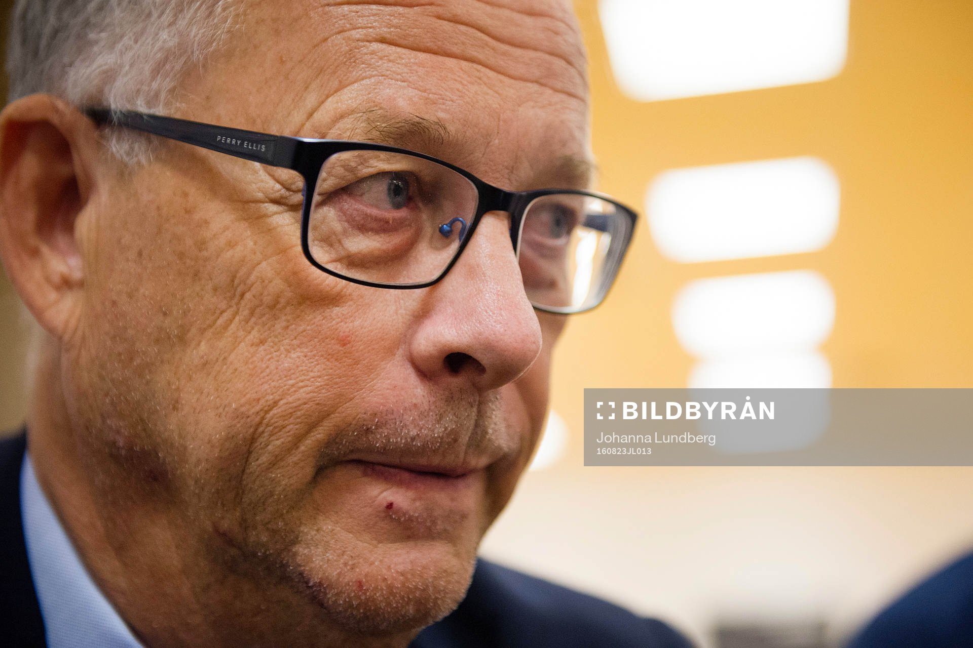 Sveriges rådgivare Lars Lagerbäck
