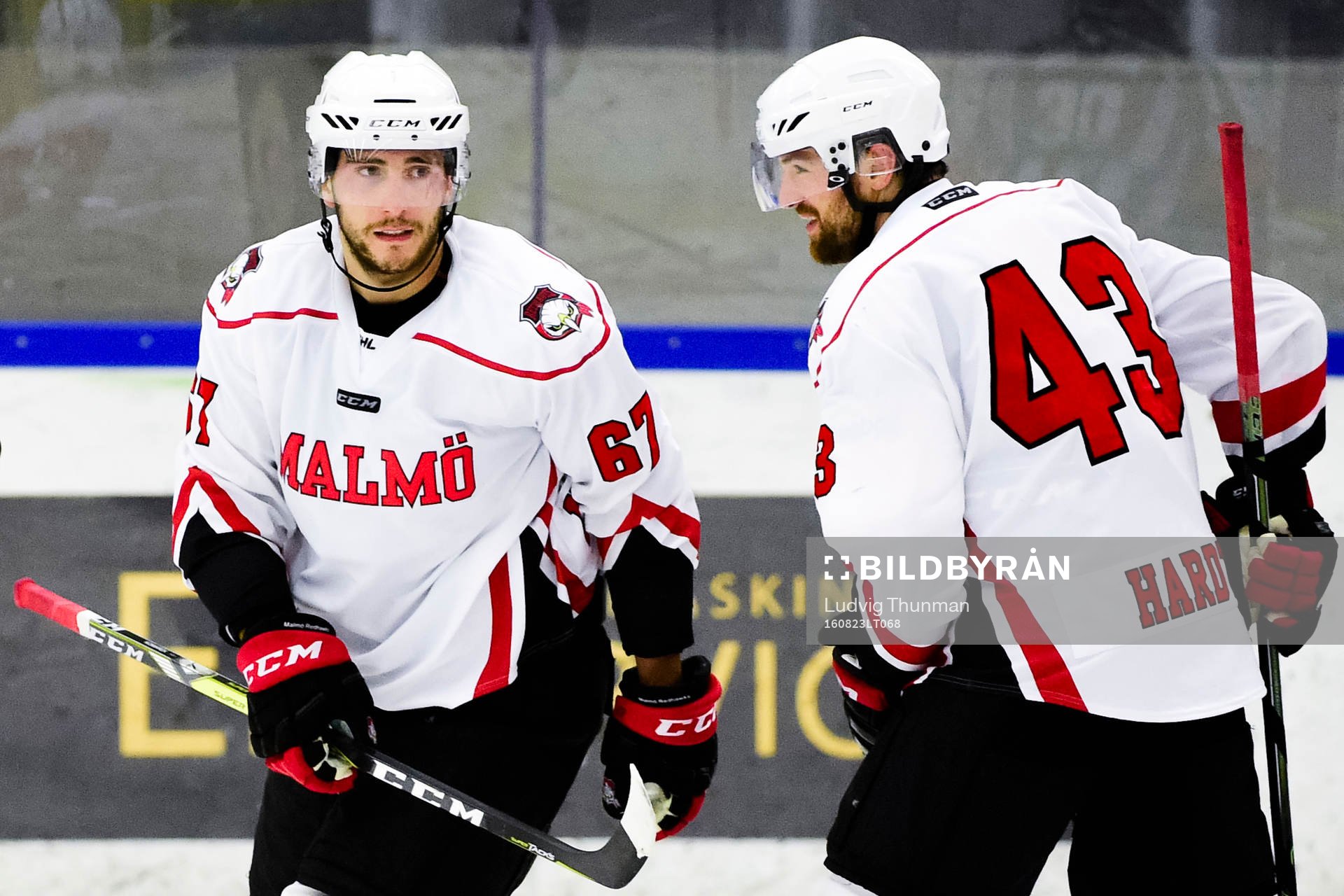 Malmö Redhawks Konstantin Komarek och Nichlas Hardt jublar