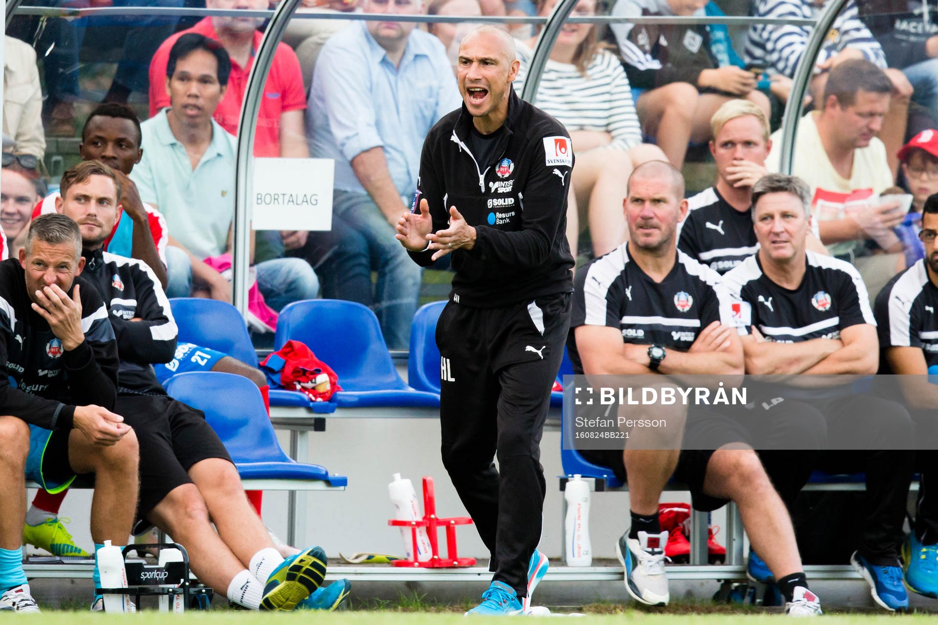 Helsingborgs manager Henrik Larsson