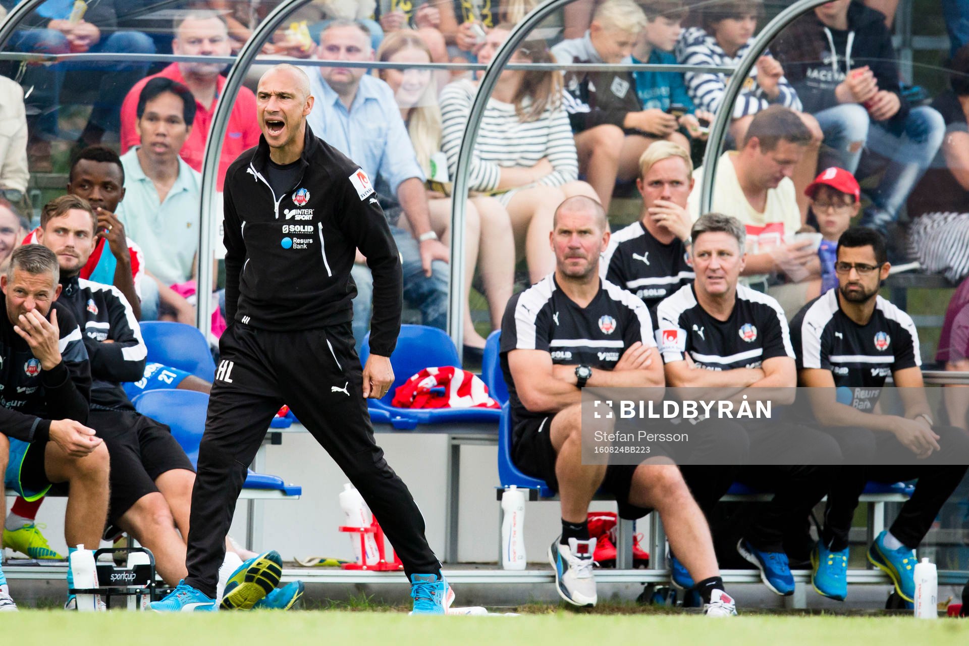 Helsingborgs manager Henrik Larsson