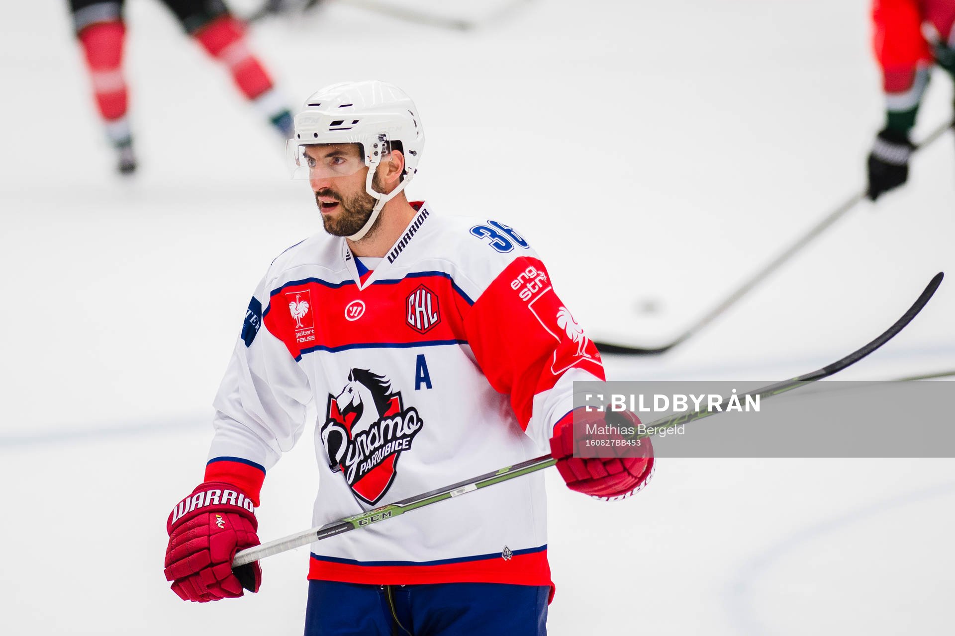 Pardubices Petr Caslava