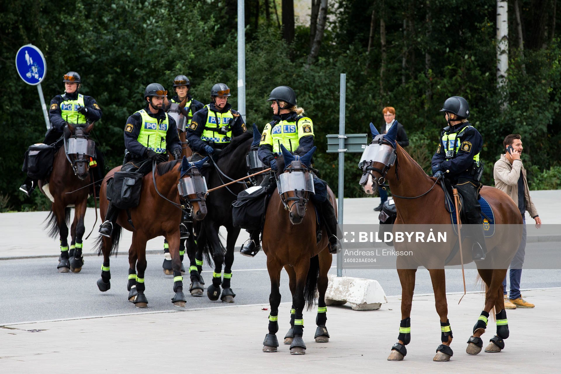 Ridande poliser