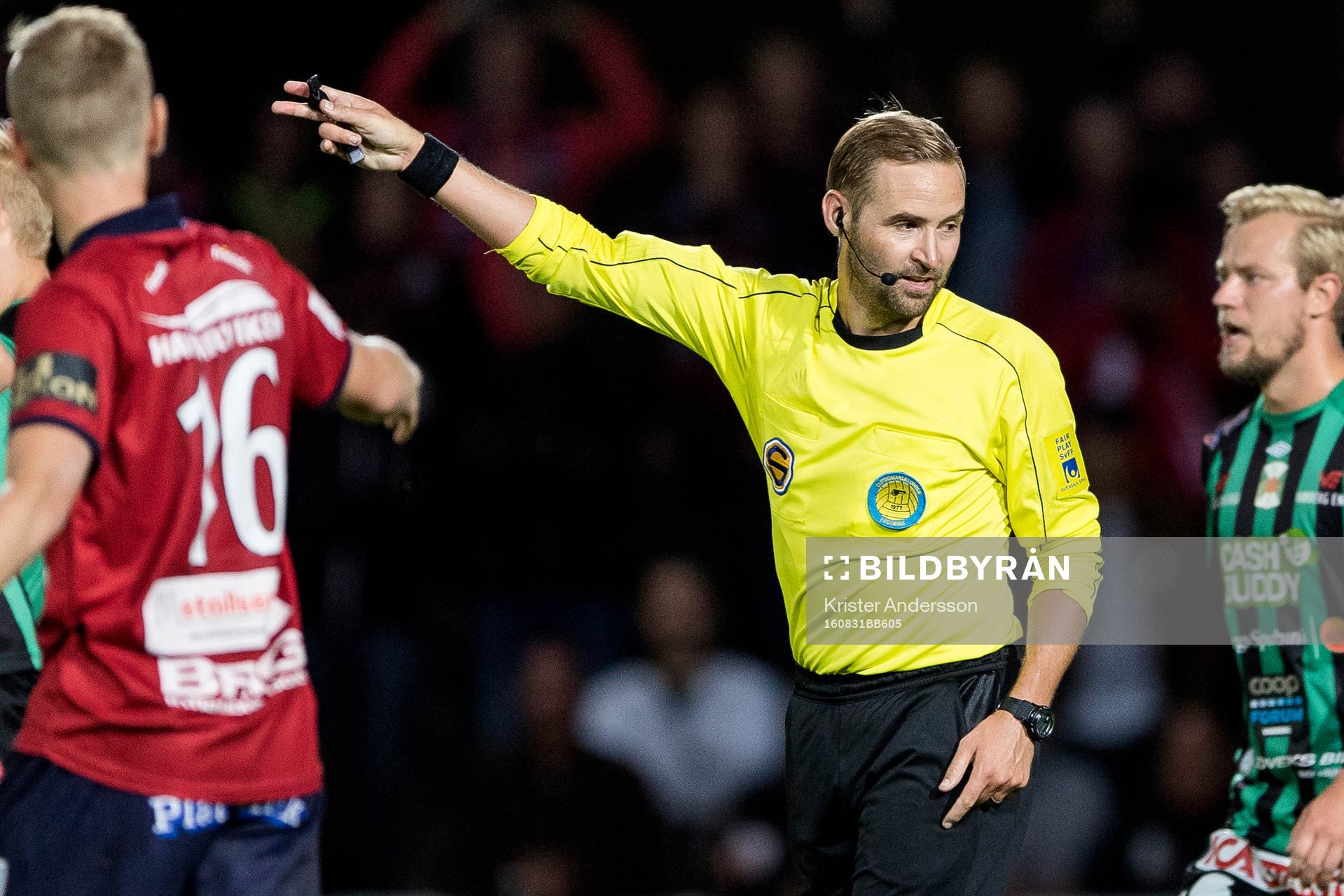Domare Jim Petersson