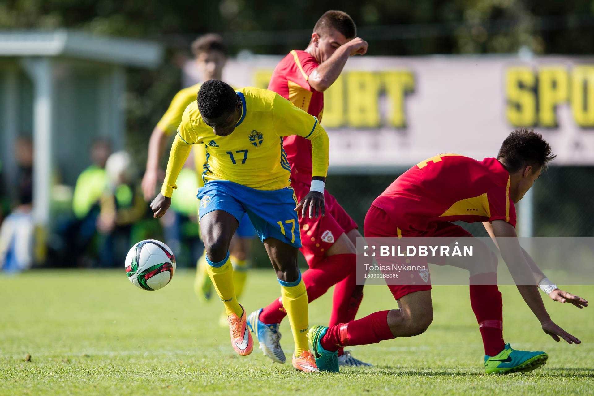 Sveriges Filston Mawana
