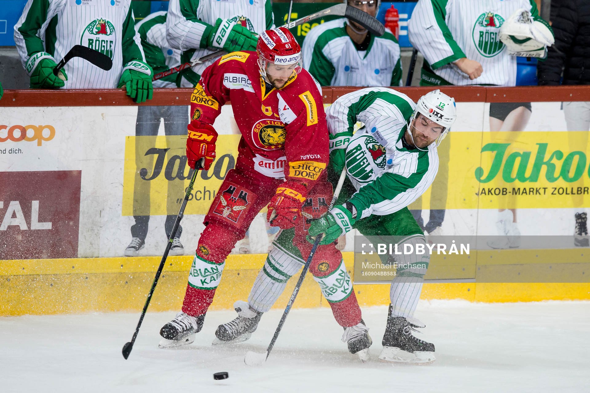 SLC Tigers Adrian Gerber
