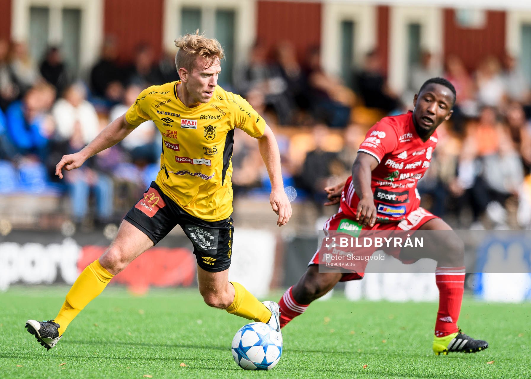 Forwards Robin Ingvarsson