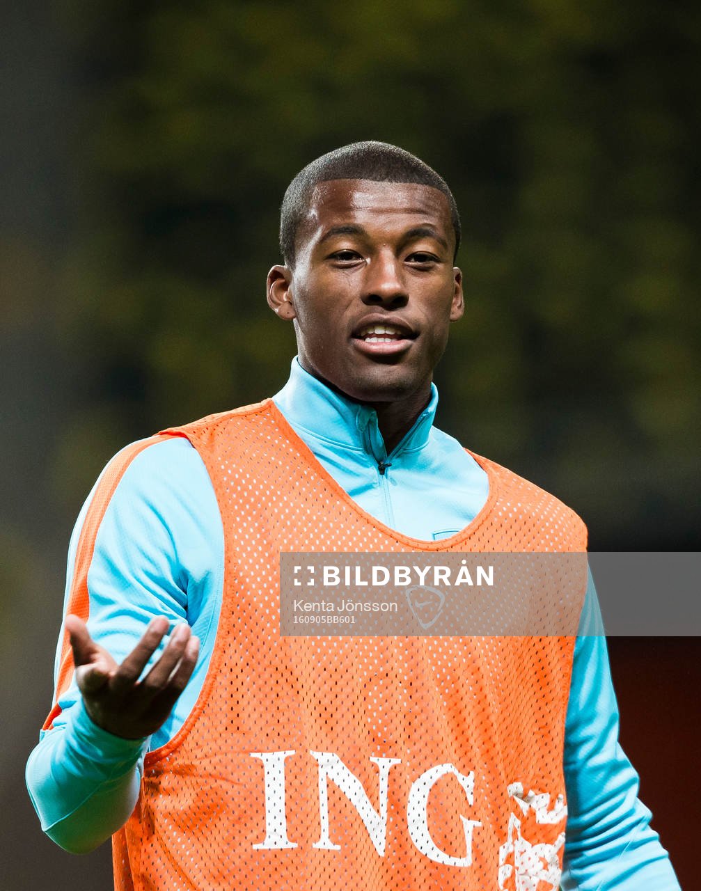 Georginio Wijnaldum