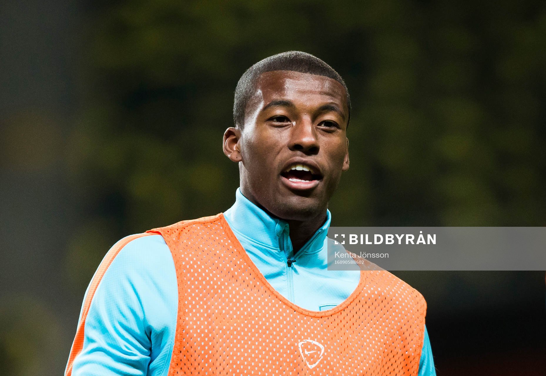 Georginio Wijnaldum
