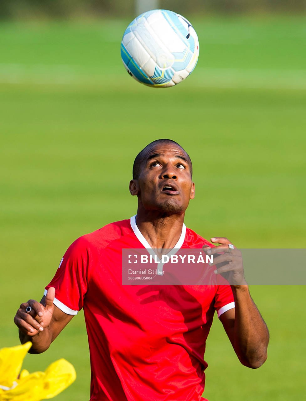 Florent Malouda