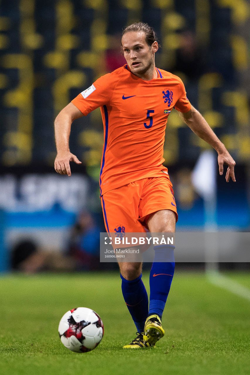 Hollands Daley Blind
