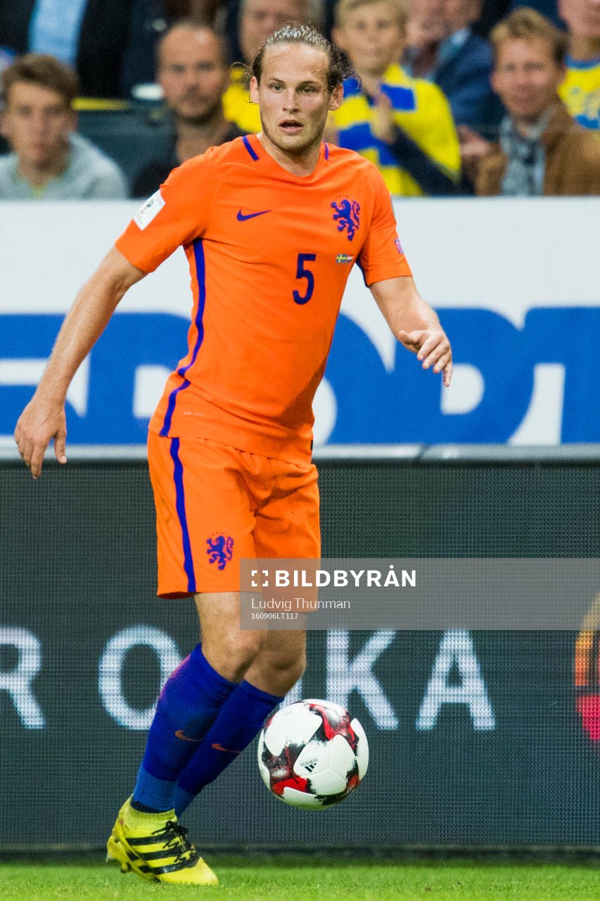 Hollands Daley Blind