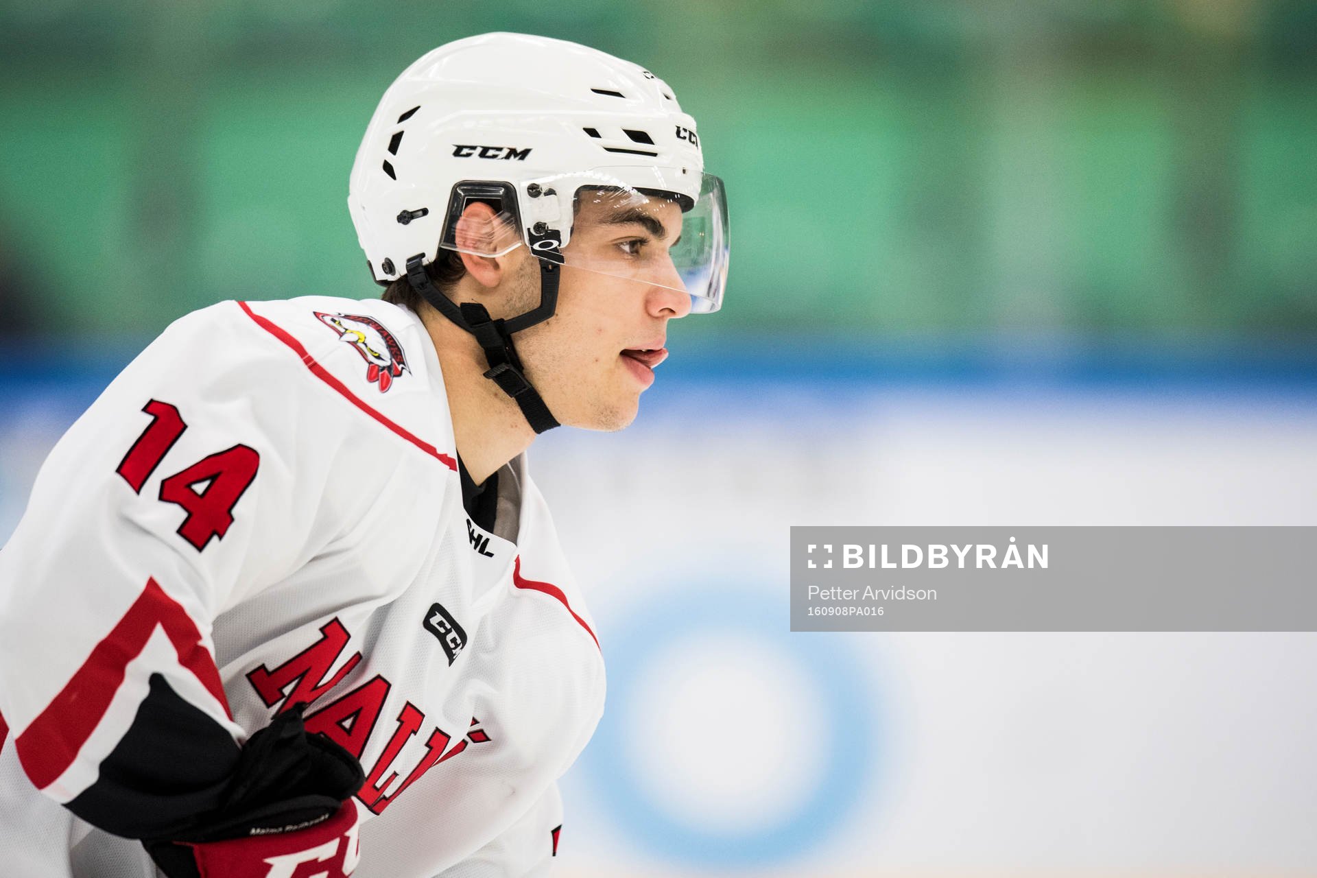 Malmö Redhawks Lukas Haudum