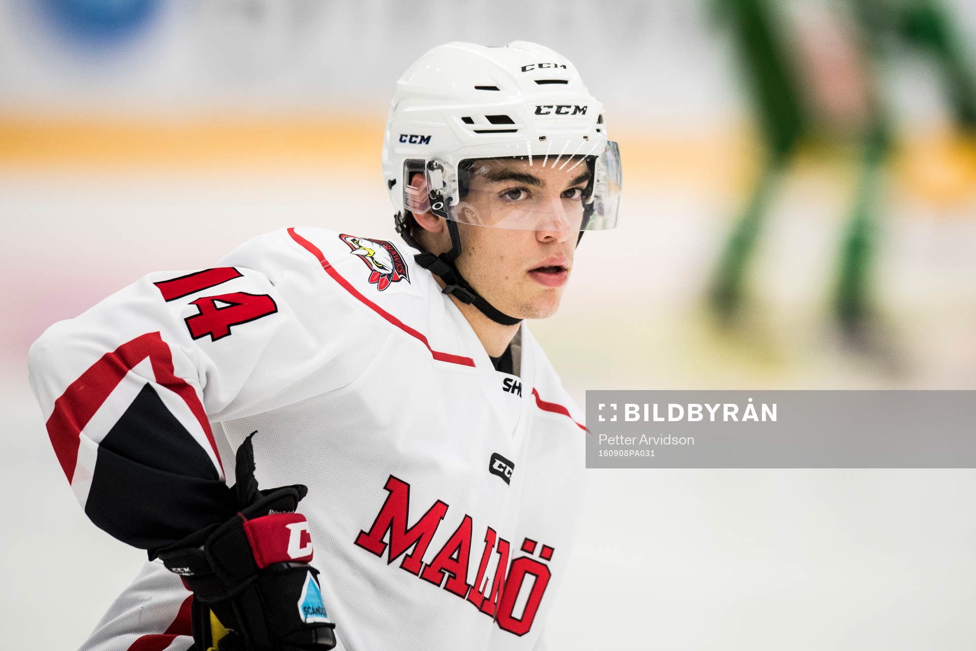 Malmö Redhawks Lukas Haudum