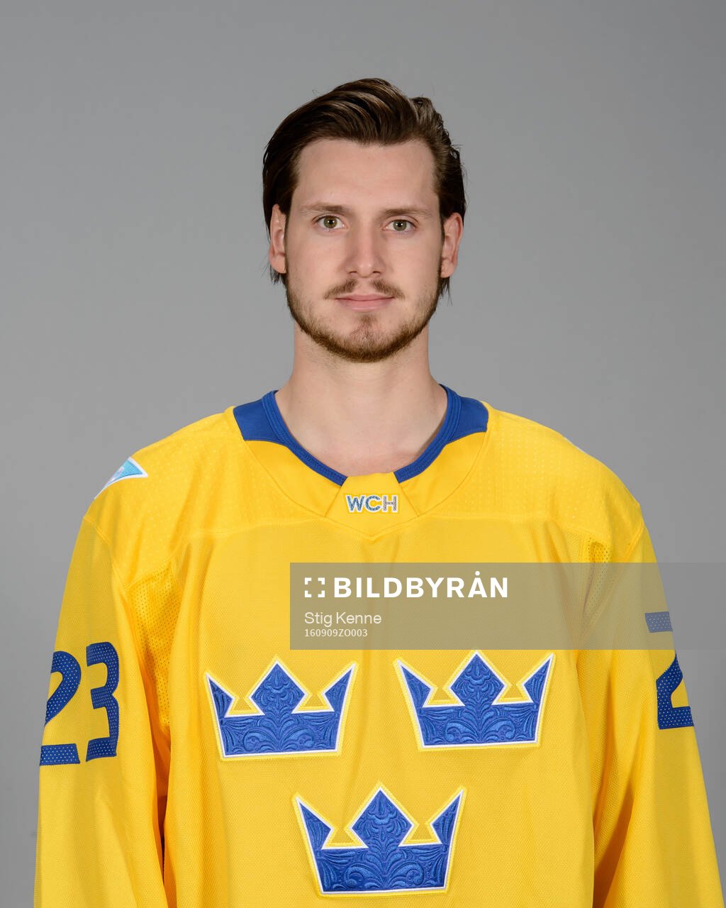 Oliver Ekman Larsson of Sweden poses for a portrait